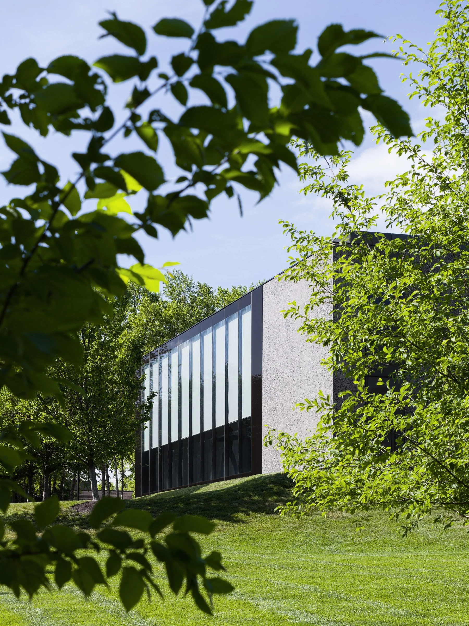 Saint Louis Art Museum East Building angled glazed facade through foliage, by David Chipperfield - architectural photographer St. Louis Missouri