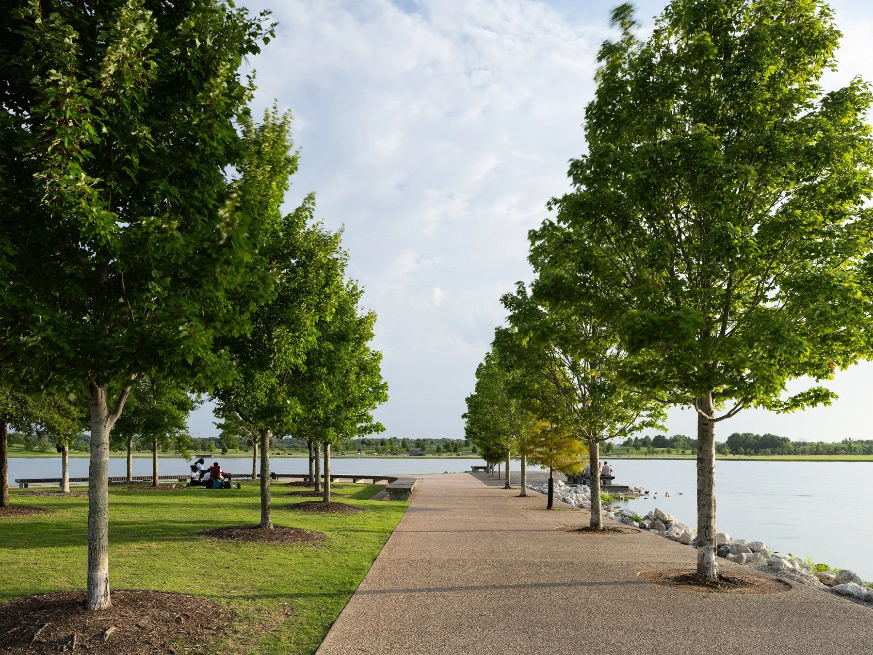Shelby Farms Park tree-lined path to the lakeside pier, landscape by James Corner Field Operations - architectural photographer Memphis Tennessee