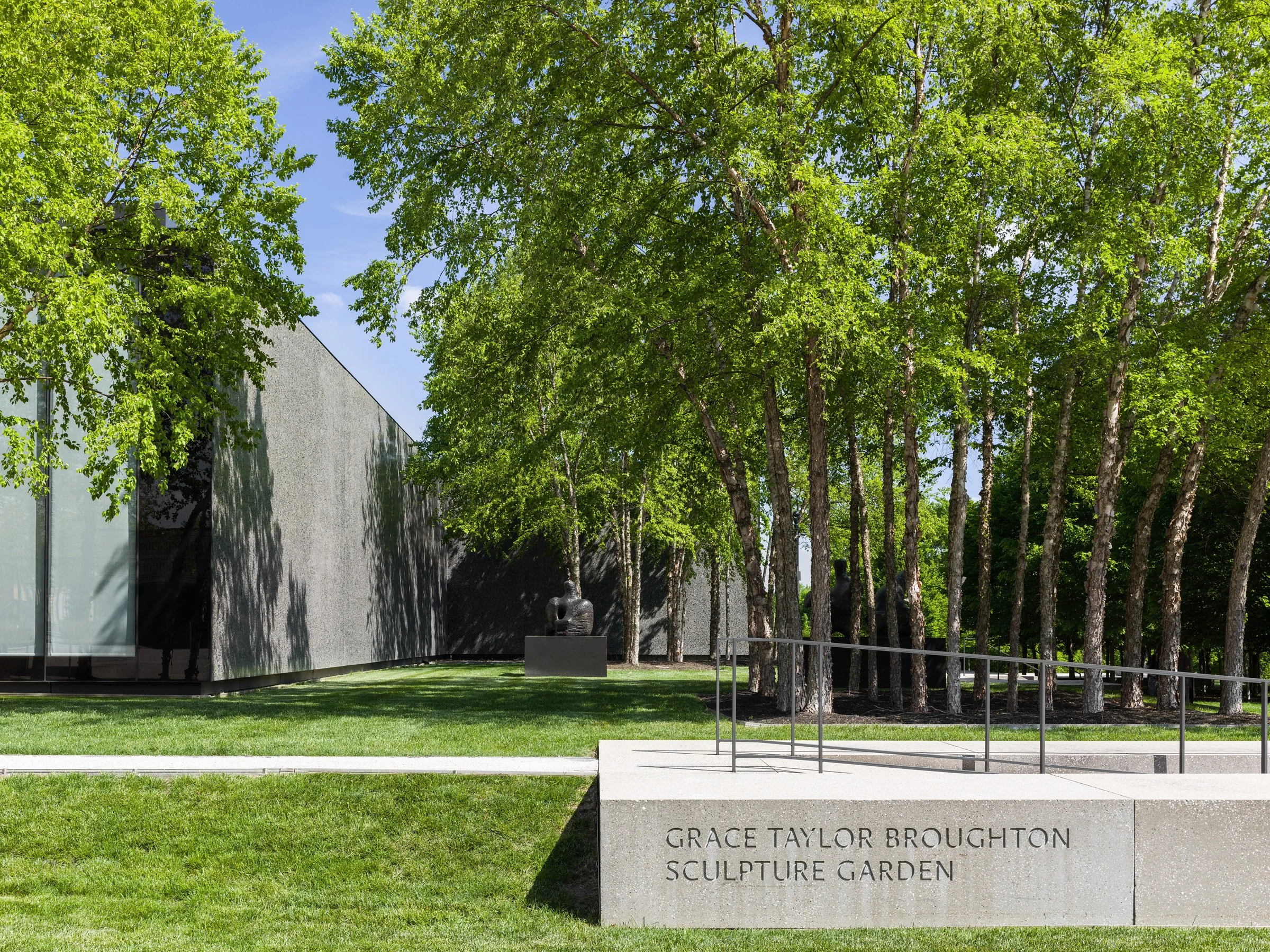 Saint Louis Art Museum dark concrete wall and birch grove, landscape by Michel Desvigne Paysagiste - architectural photographer St. Louis Missouri