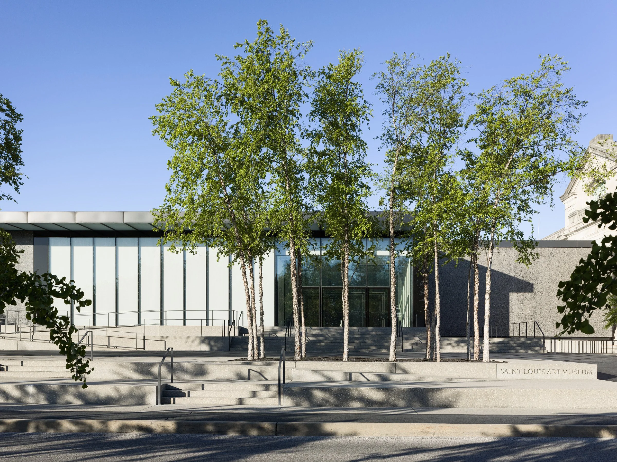 Saint Louis Art Museum East Building frontal entrance behind river birches, by David Chipperfield - architectural photographer St. Louis Missouri