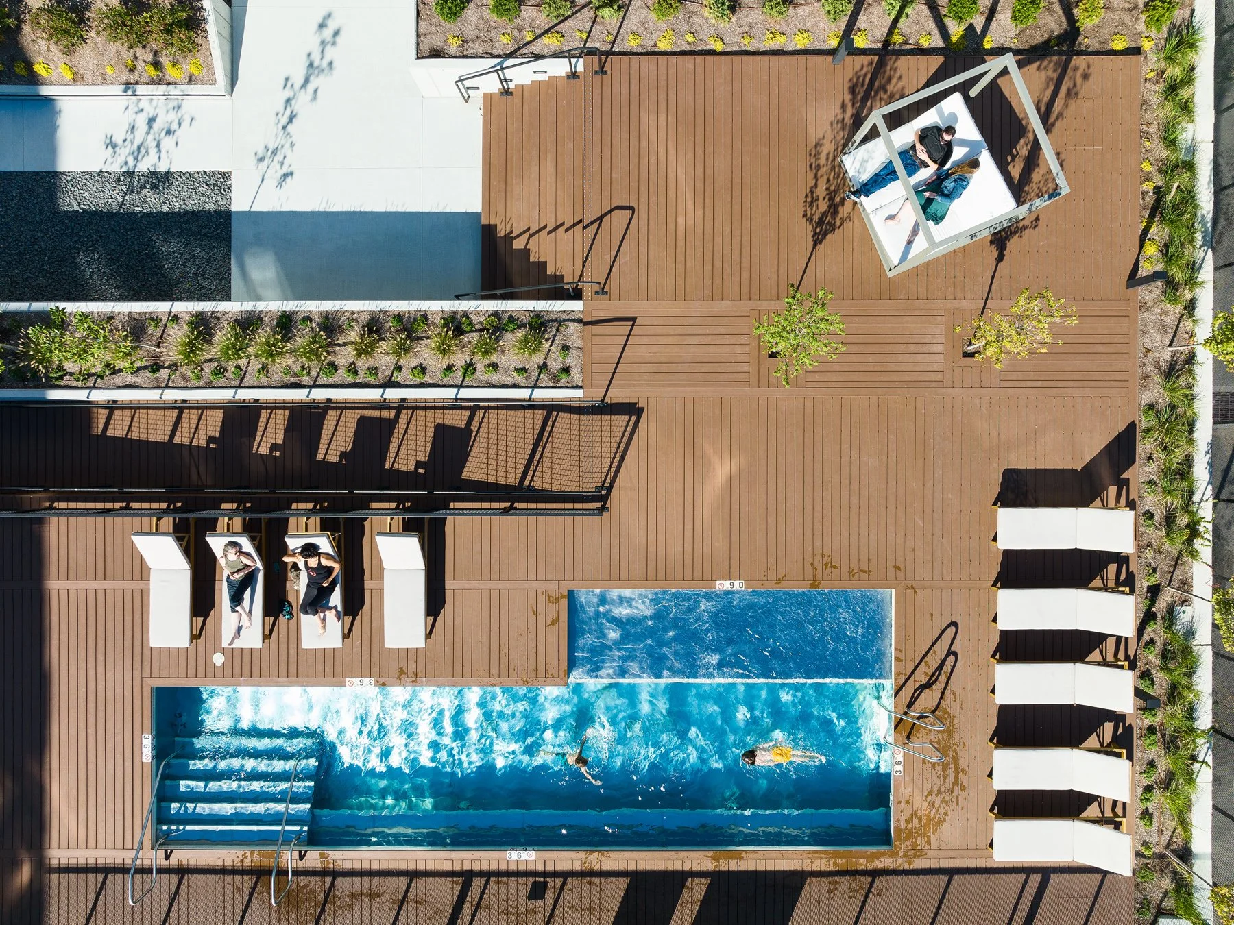 Steelcote Flats overhead view of the amenity deck lap pool, loungers, and plantings, landscape by Arbolope Studio - architectural photographer St. Louis Missouri