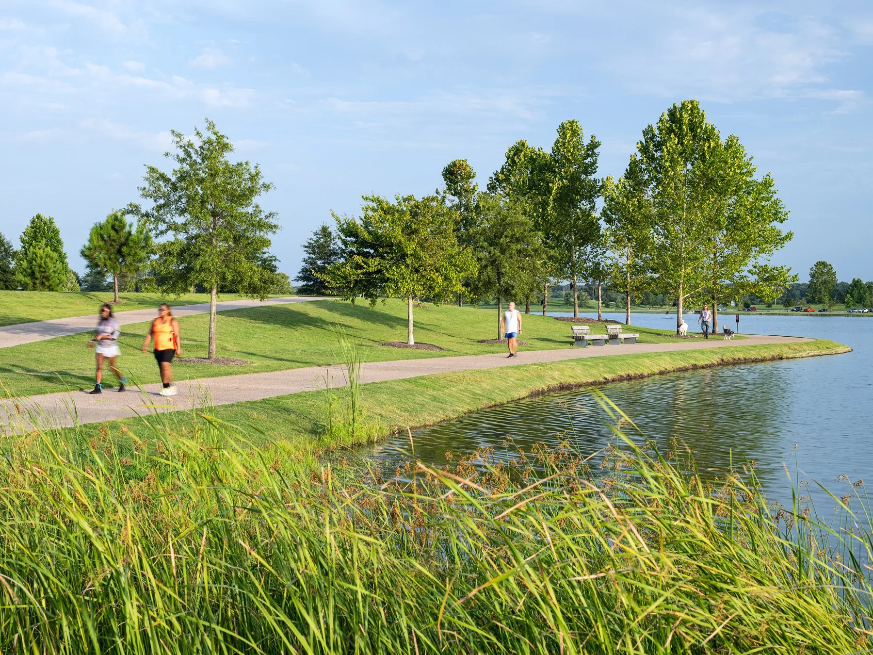 Shelby Farms Park walkers on a tree-lined lakeside path, landscape by James Corner Field Operations - architectural photographer Memphis Tennessee