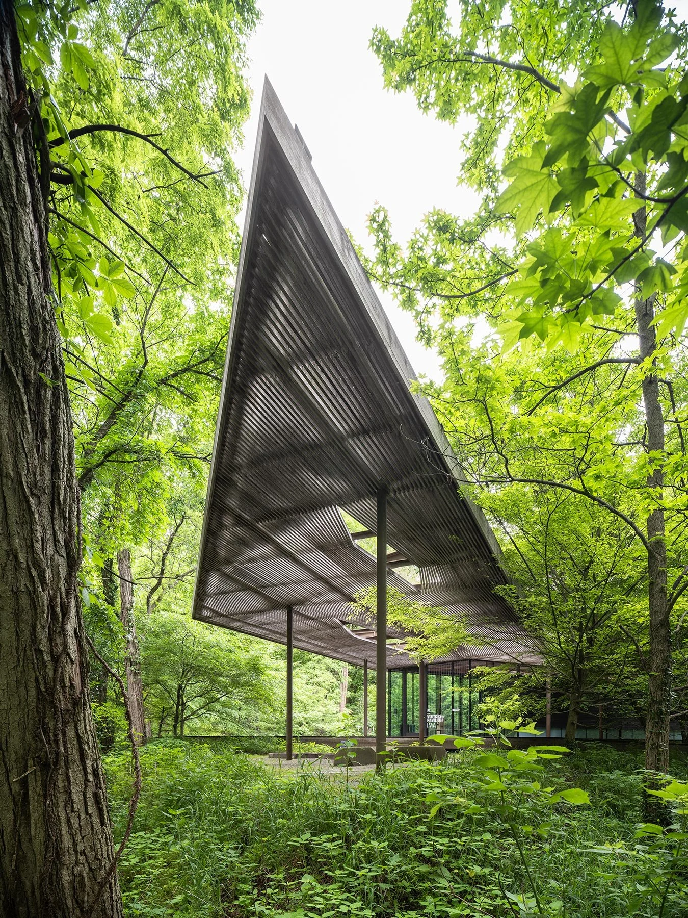 Ruth Lilly Visitors Pavilion sharply angled canopy apex rising above the forest floor, by Marlon Blackwell Architects, Indianapolis Indiana - architectural photographer