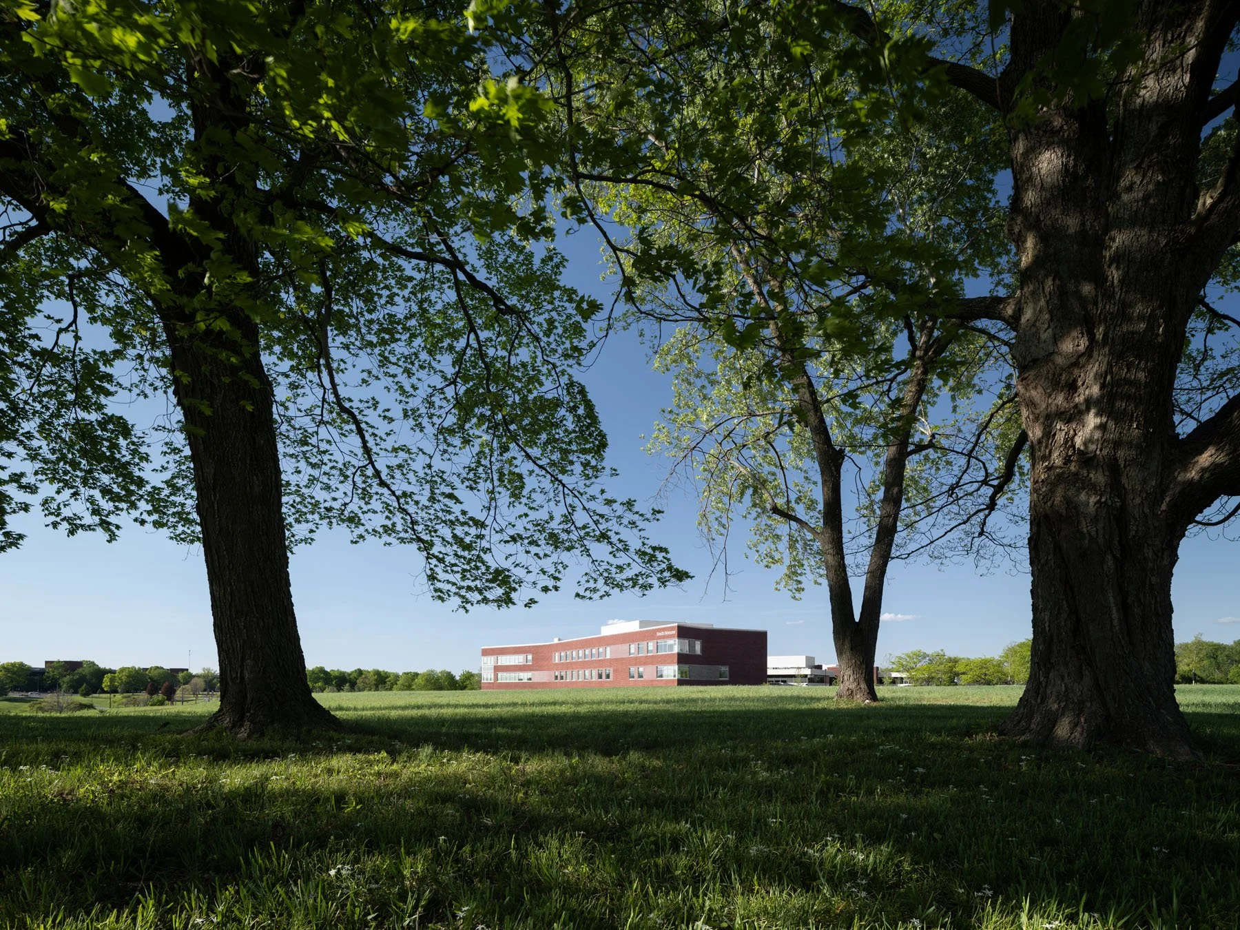 SIUE Health Sciences distant view framed by large mature trees across a meadow by Christner, Edwardsville Illinois - architectural photographer St. Louis