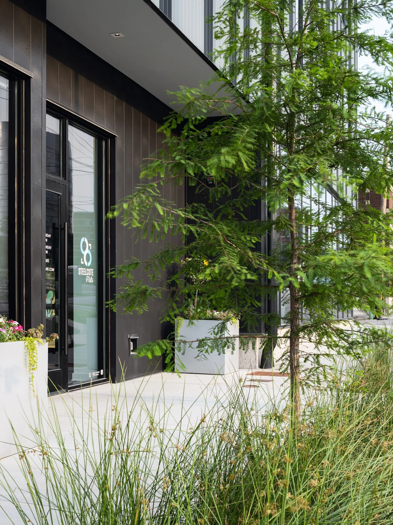 Steelcote Flats entry with a young tree and grasses in sidewalk planters, landscape by Arbolope Studio - architectural photographer St. Louis Missouri