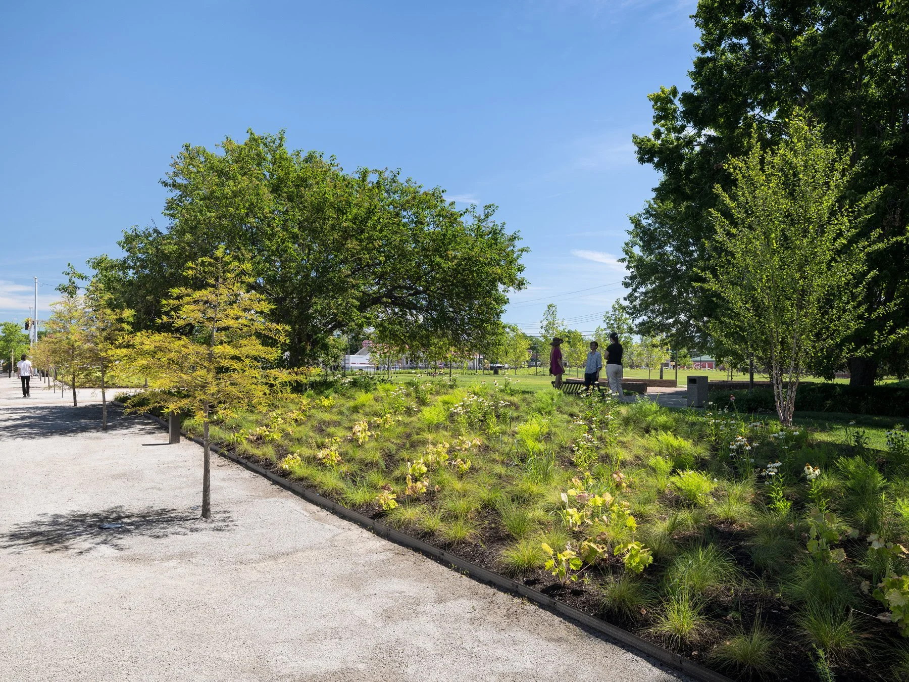 Carillon Park gravel path beside native plantings and mature trees, landscape by Arbolope Studio - architectural photographer Centralia Illinois