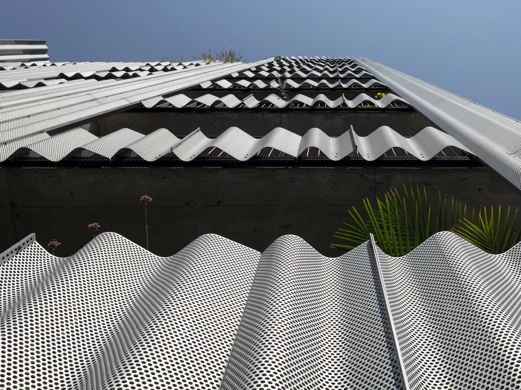 9 Chapel scalloped concrete balcony edges and perforated aluminum screen panels with palm fronds, viewed from below, by SO–IL - architectural photographer New York