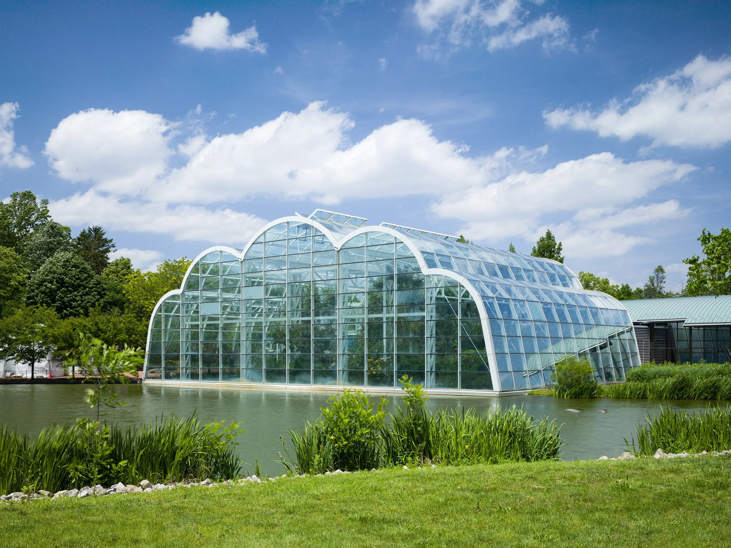 Sophia M. Sachs Butterfly House curvilinear green glass and steel conservatory by Christner Architects, Chesterfield Missouri - architectural photographer St. Louis