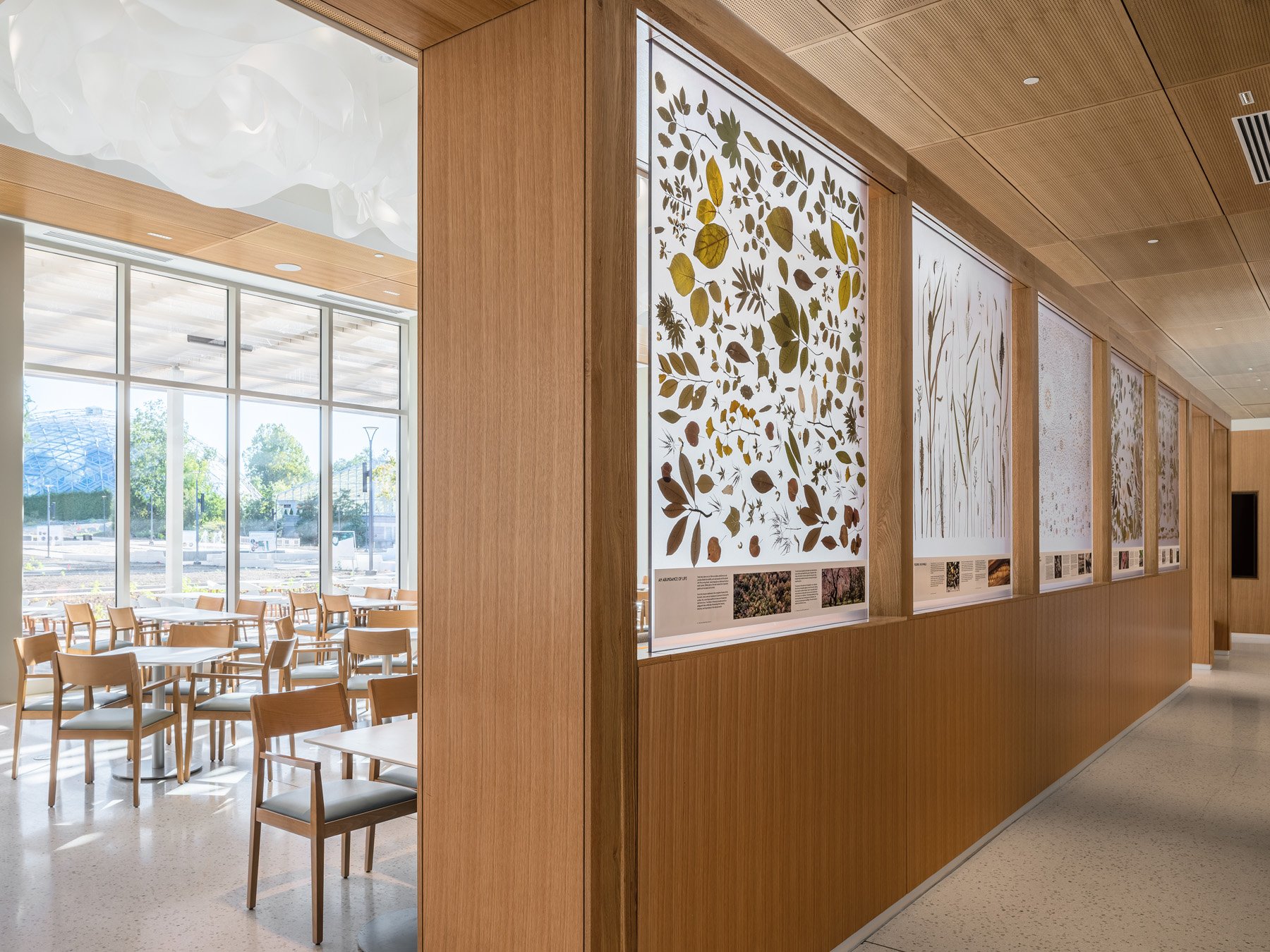 Sassafras Cafe dining room and specimen panels with a Climatron dome view by Tao + Lee Associates - architectural photographer St. Louis Missouri