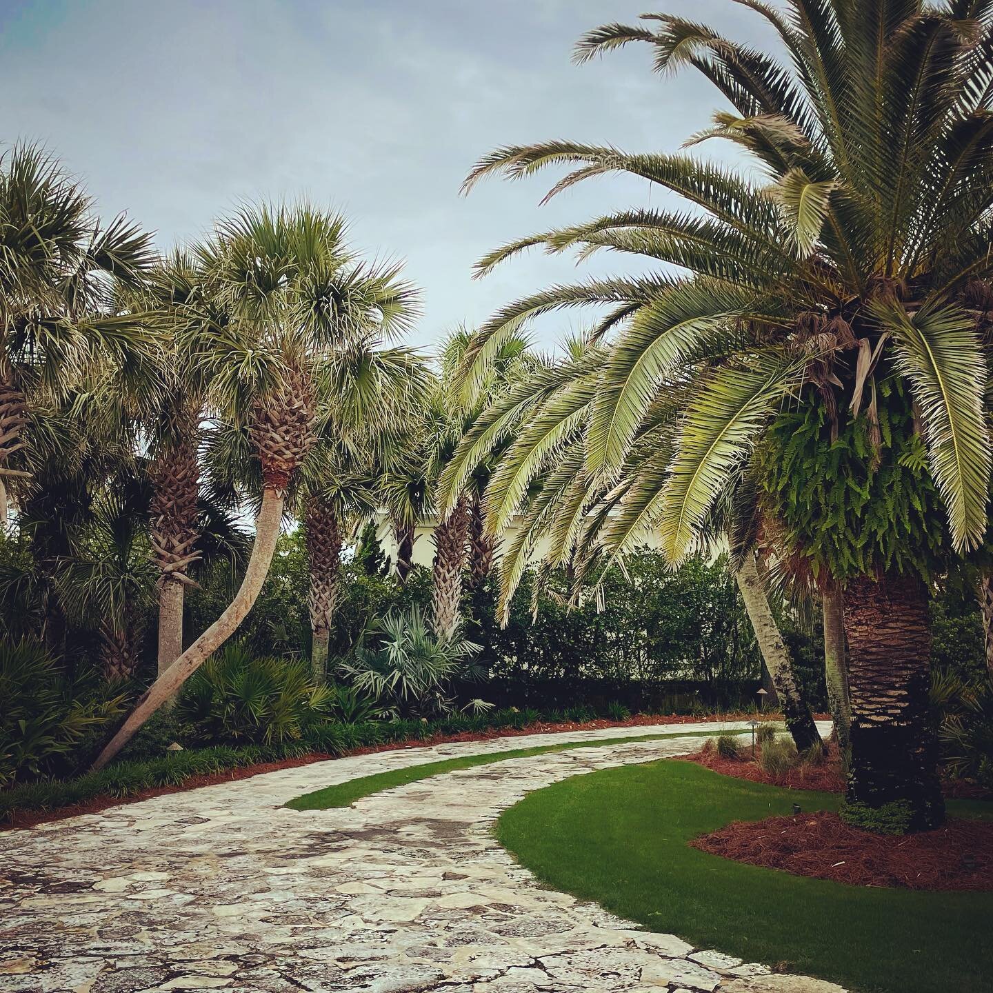 Some driveways are just more cool than others!