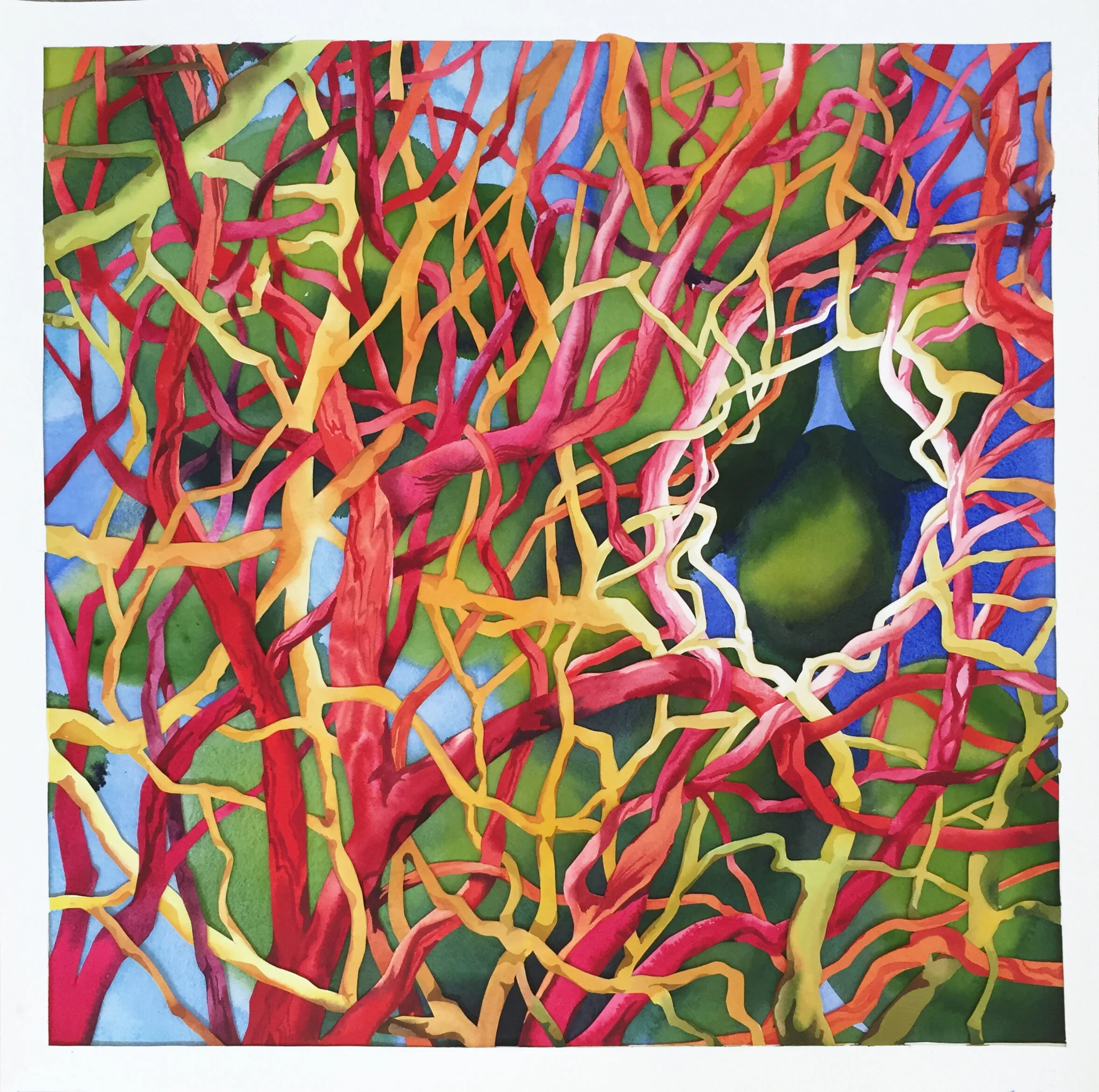 Thicket #4 (2016) Multilayered watercolor on paper 25.5"x 25.5""