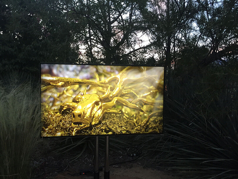 In the Labyrinth (2016) Installed in the exhibition Digital Nature at the LA Arboretum