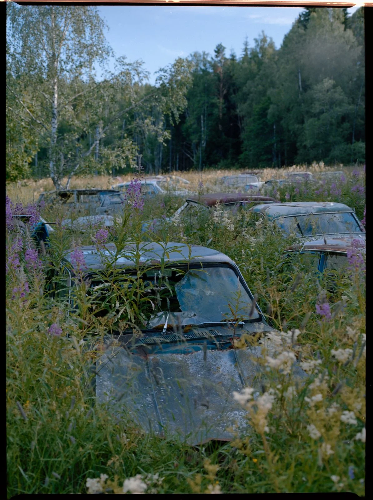 LNM_3062.jpg