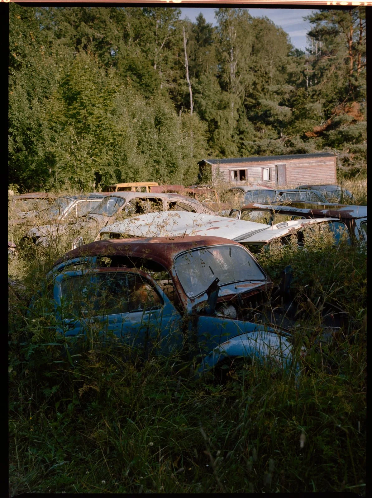 LNM_3058.jpg