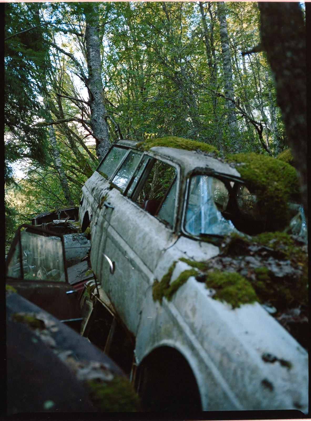 LNM_3050.jpg