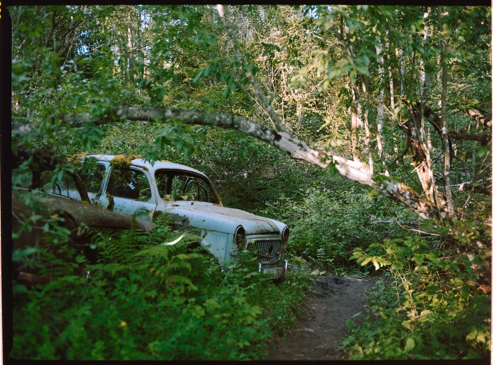 LNM_3048.jpg