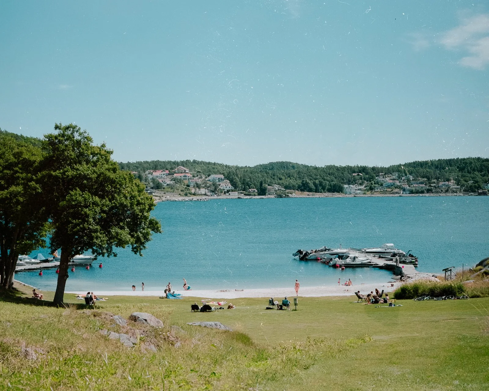 Mamiya Portra 160_14-Edit.jpg