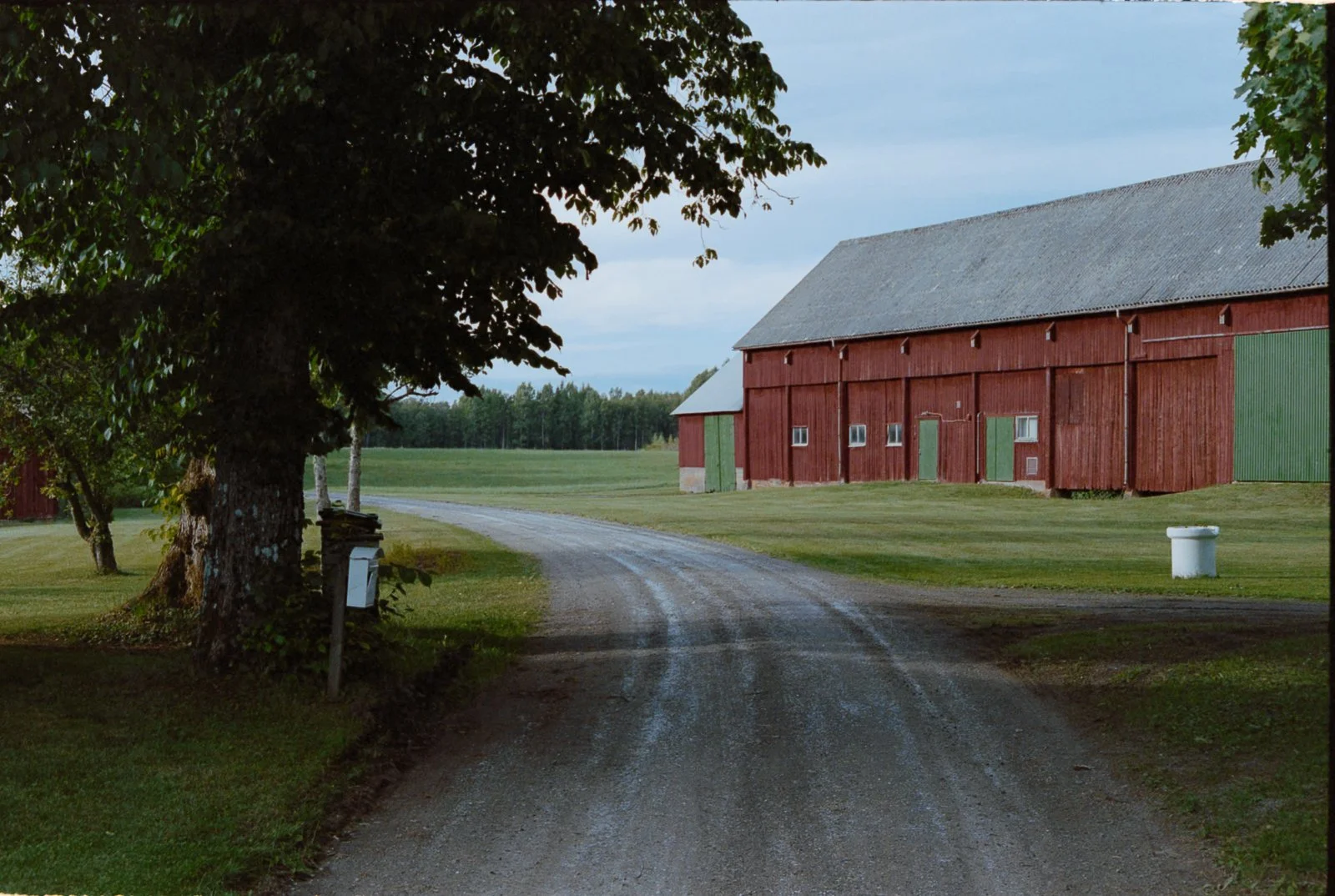 LNM_0161.jpg