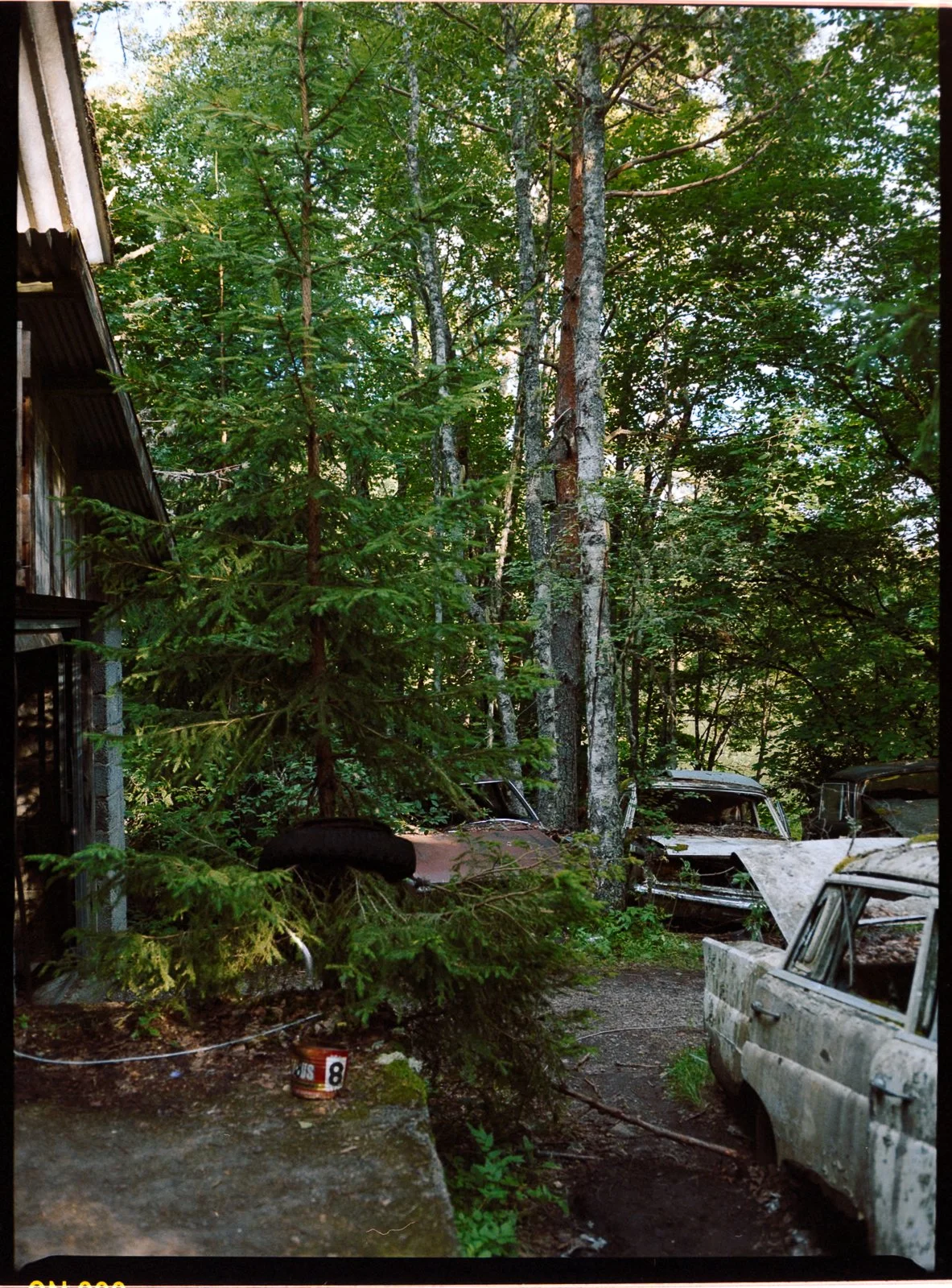 LNM_3043.jpg