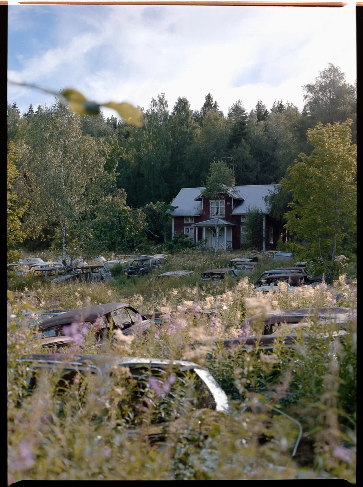 LNM_3066.jpg