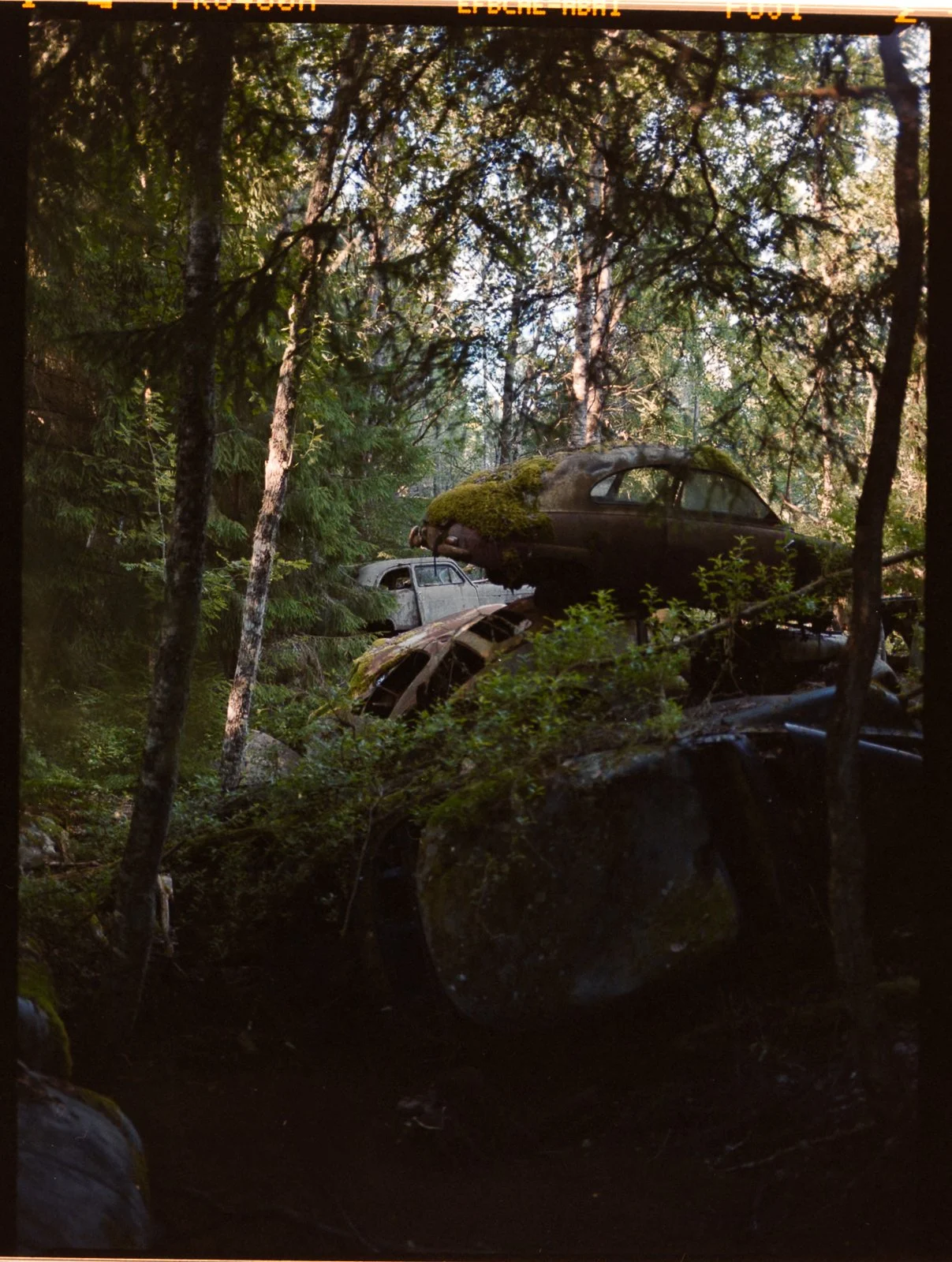 LNM_3021.jpg