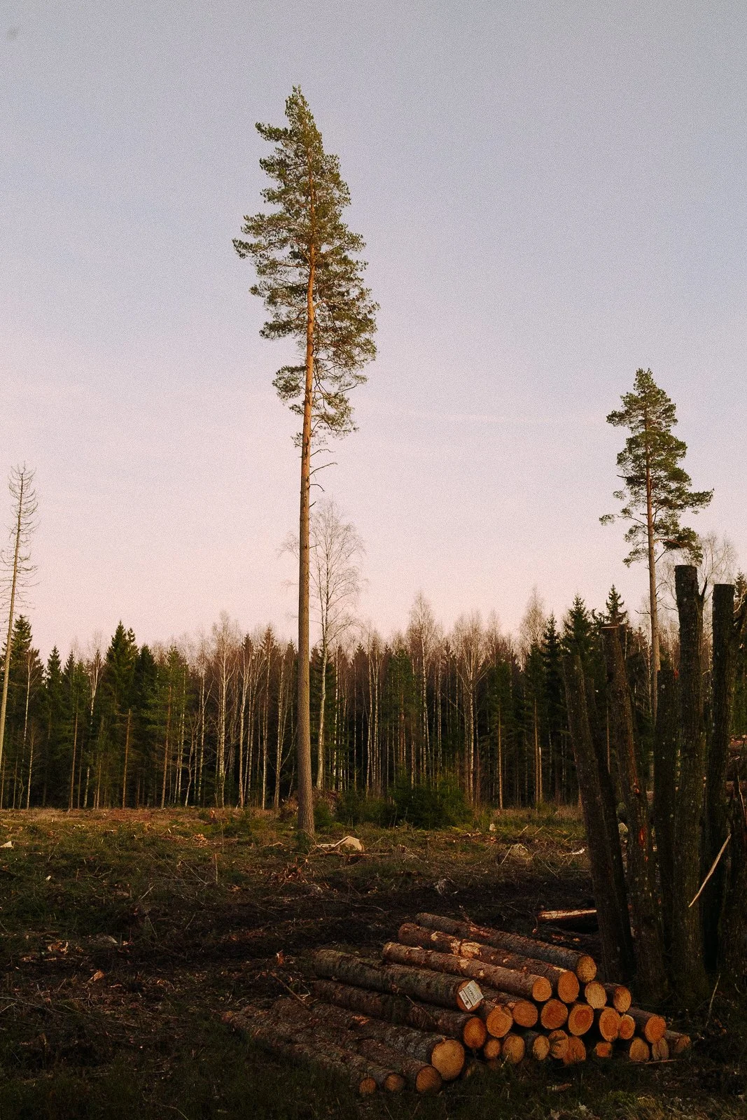 LNM_4814.jpg