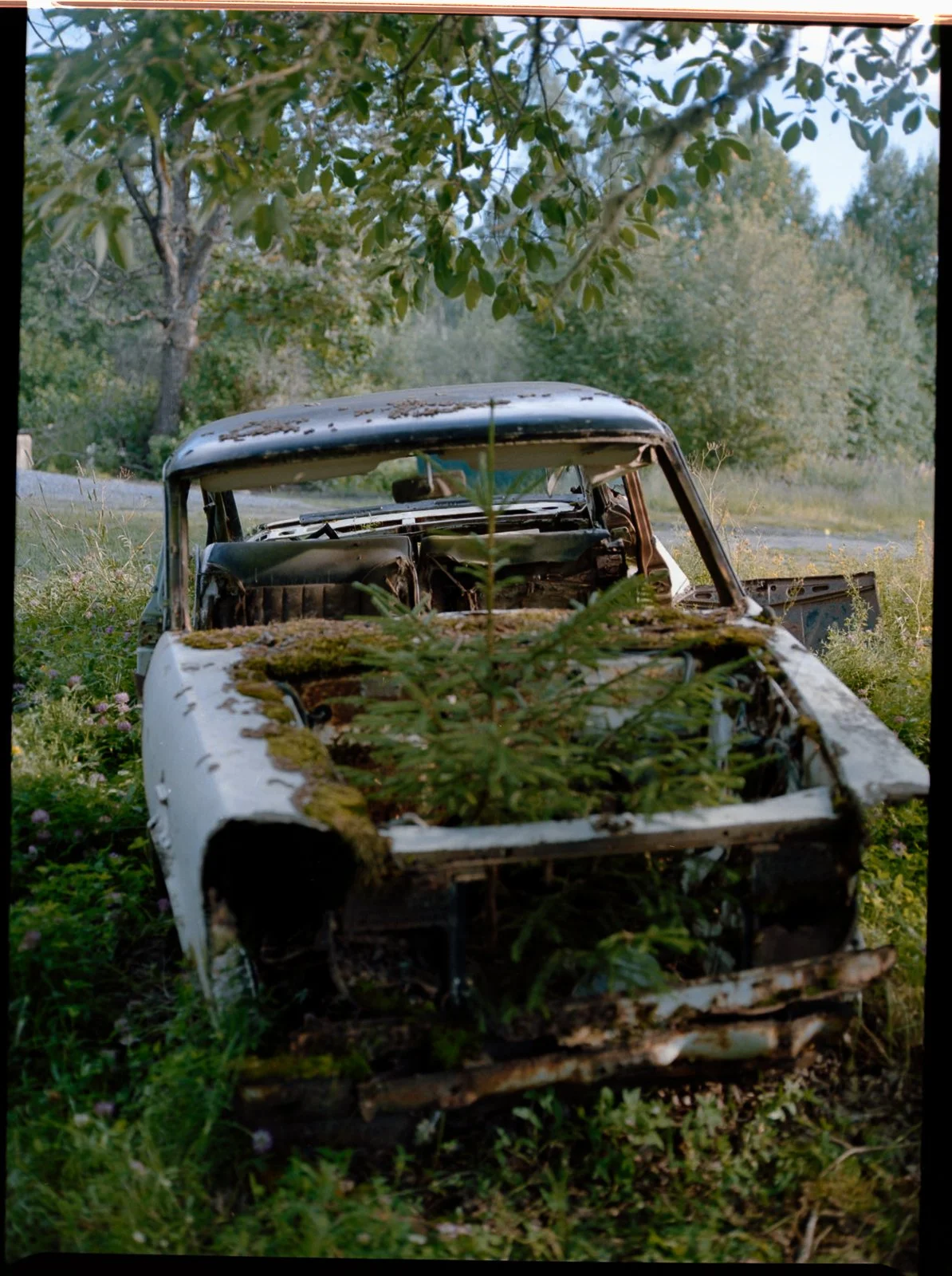 LNM_3067.jpg