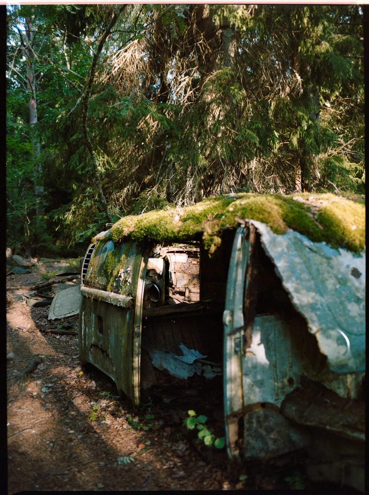 LNM_3046.jpg