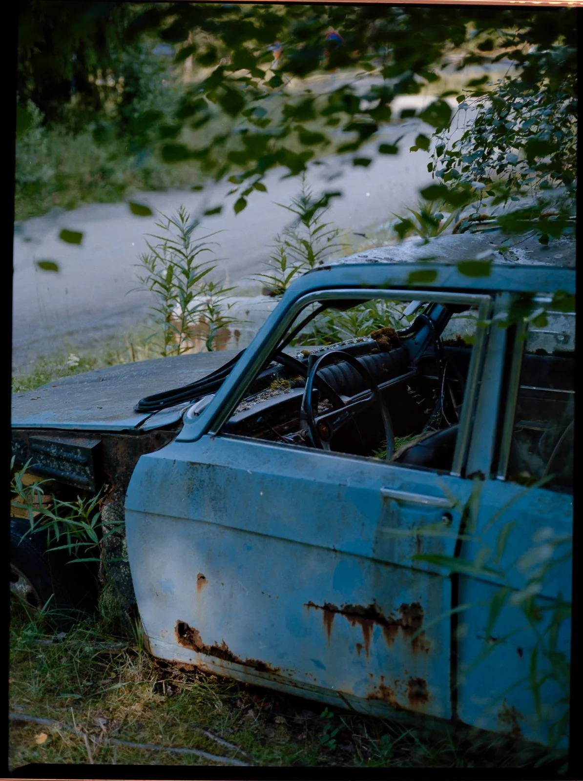 LNM_3061.jpg