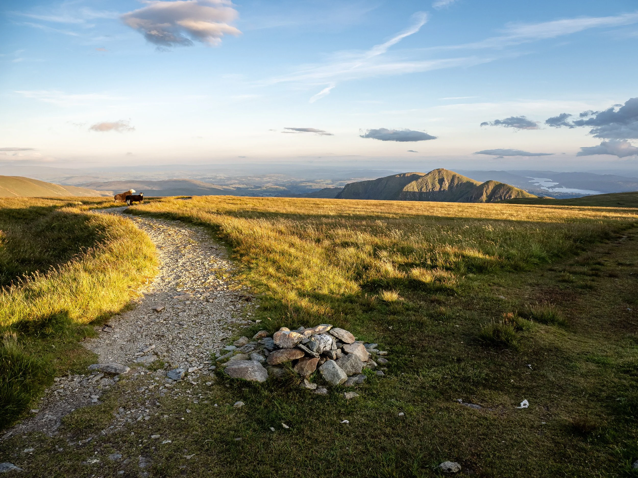 Sunset View-70-Screen 70-2.jpg