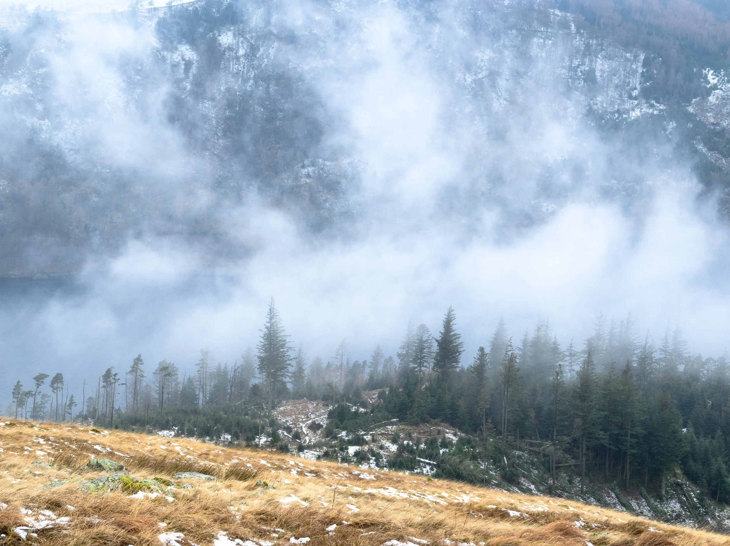 34a Trees over Thirlmere.jpg