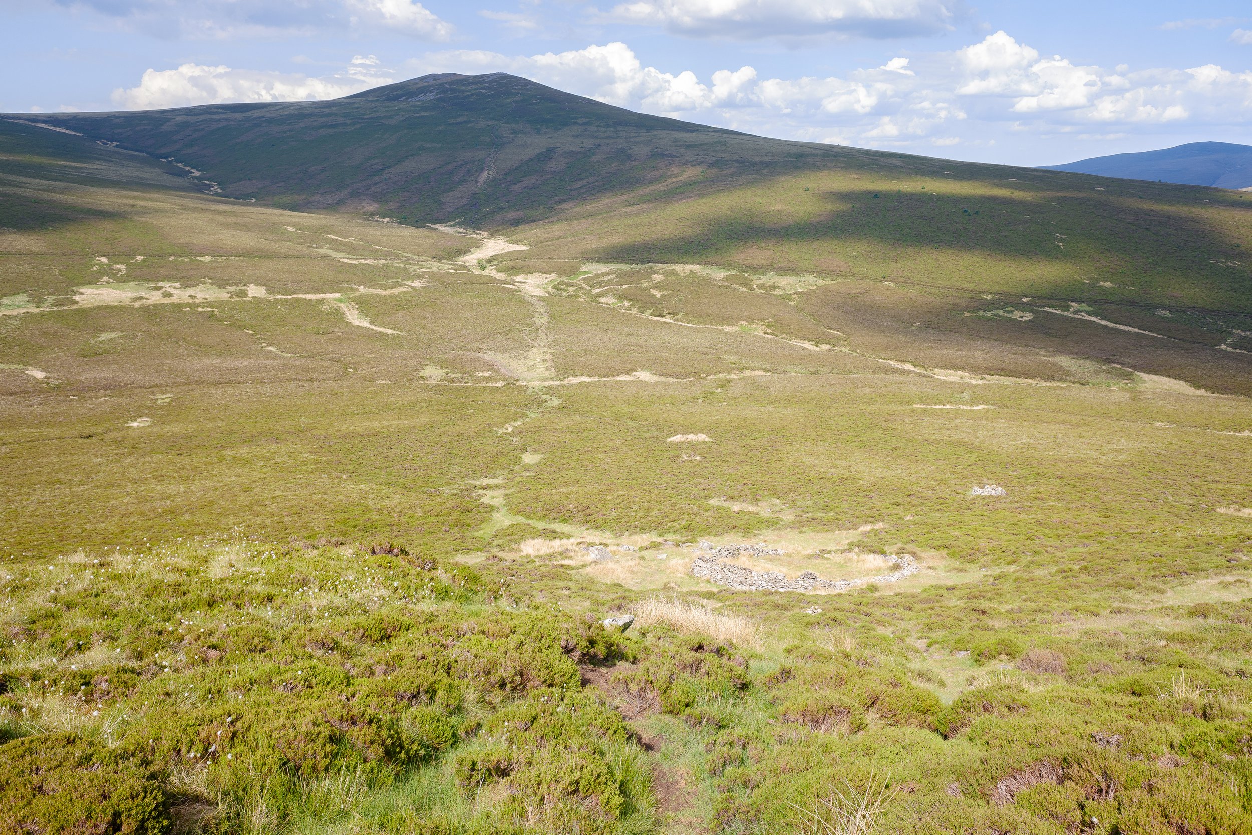 Wide View.jpg