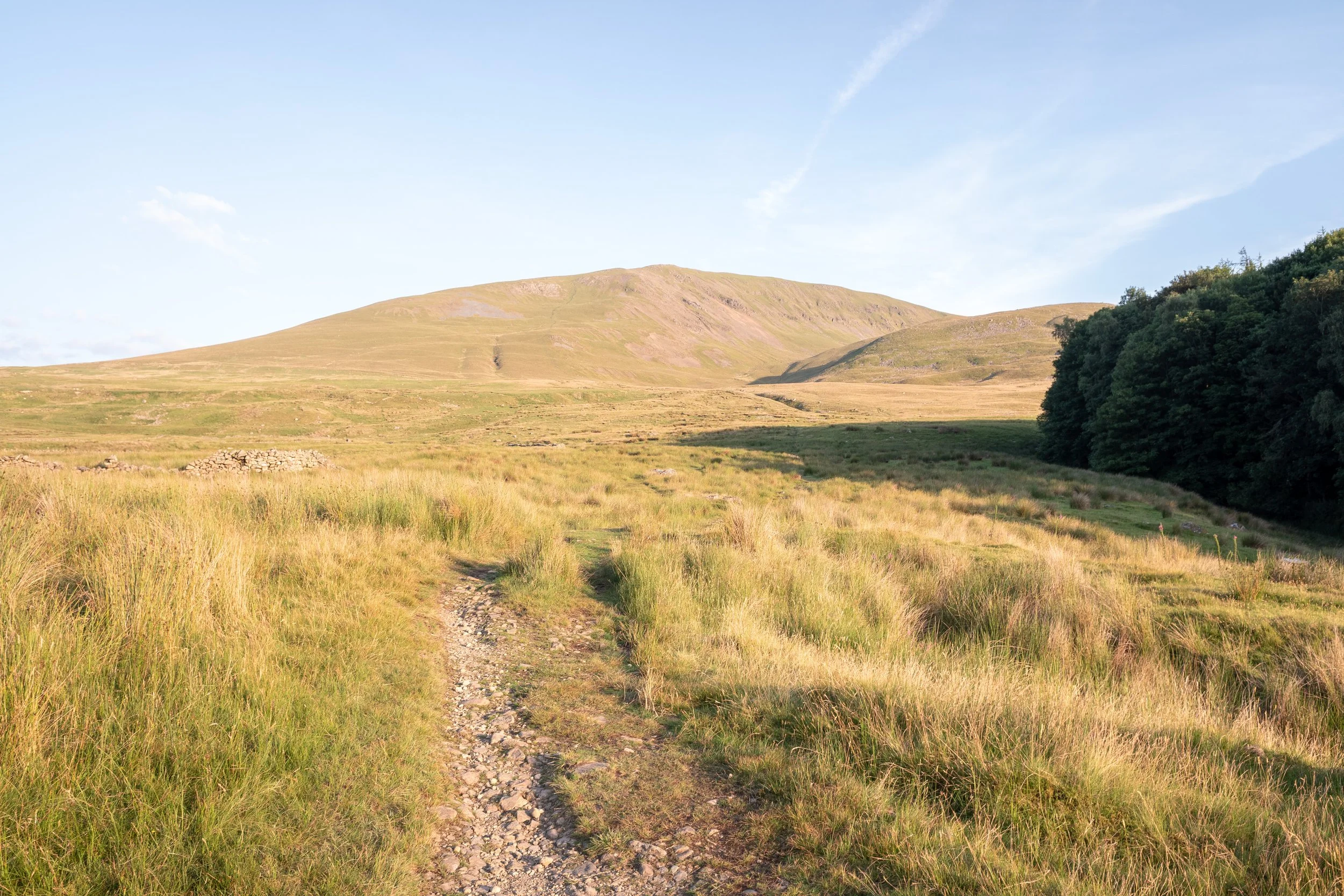 In the Open Fields | Clough Head