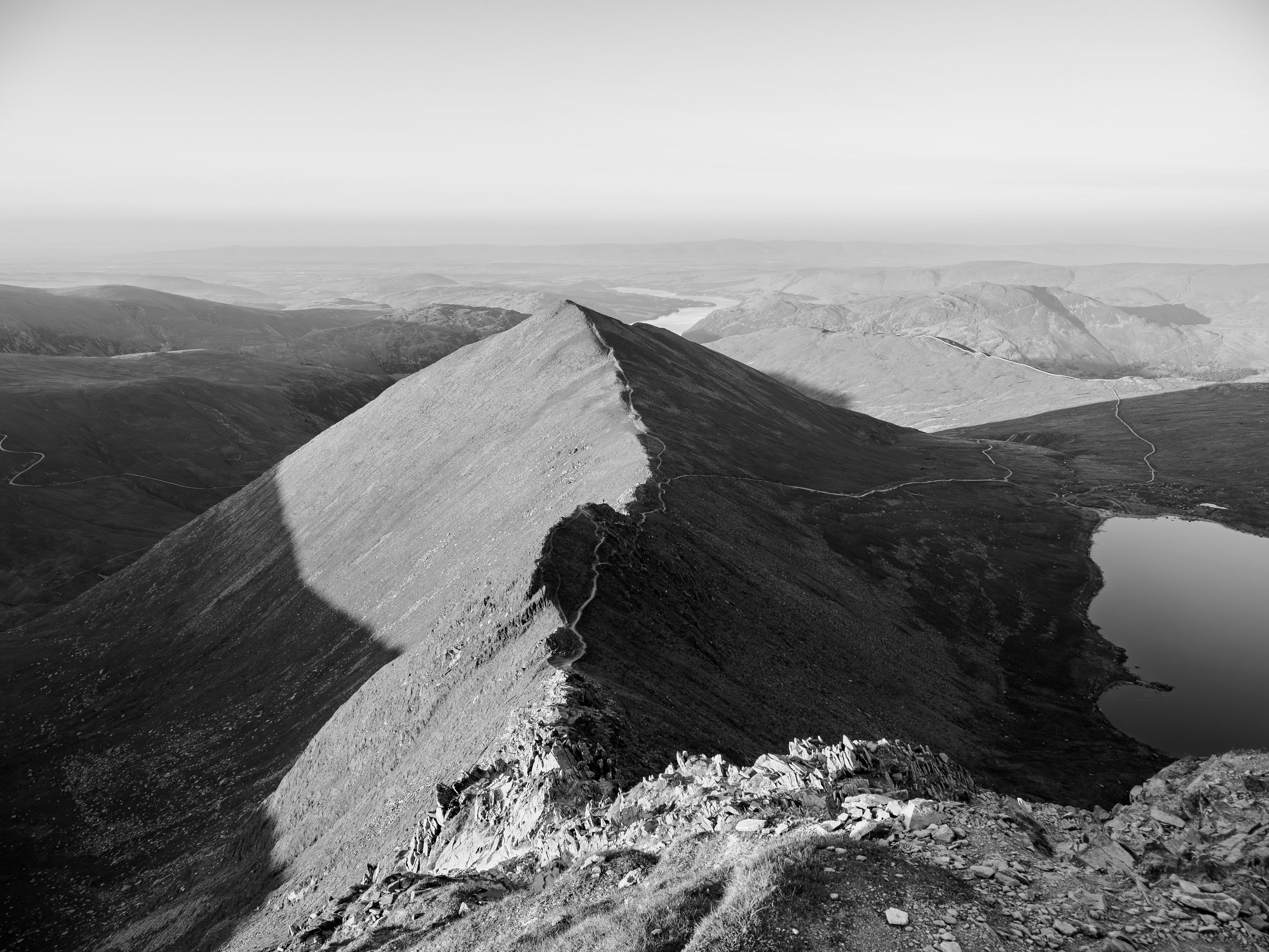 Swirrel Edge Line | Catstycam