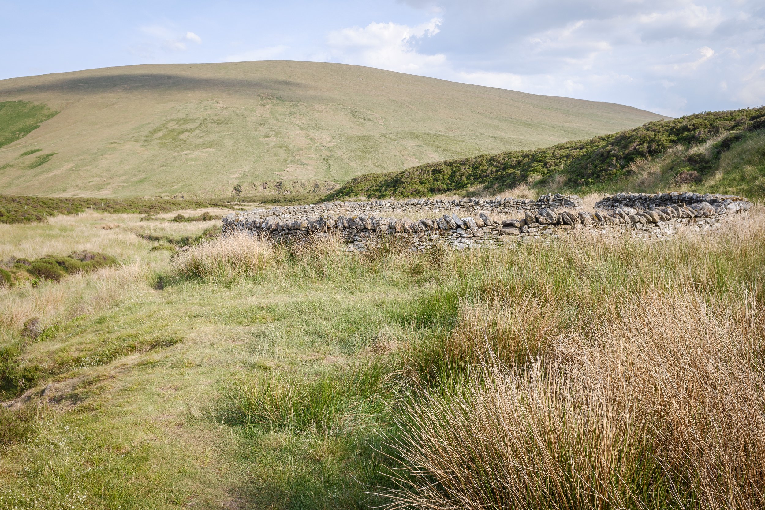 Intact Sheep Fold in Valley Below | Mungrisdale Common