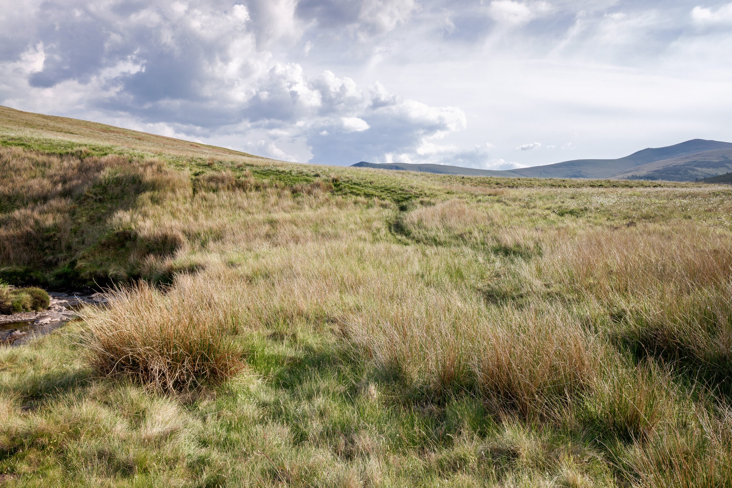 Grassy Paths in Spring | Great Calva