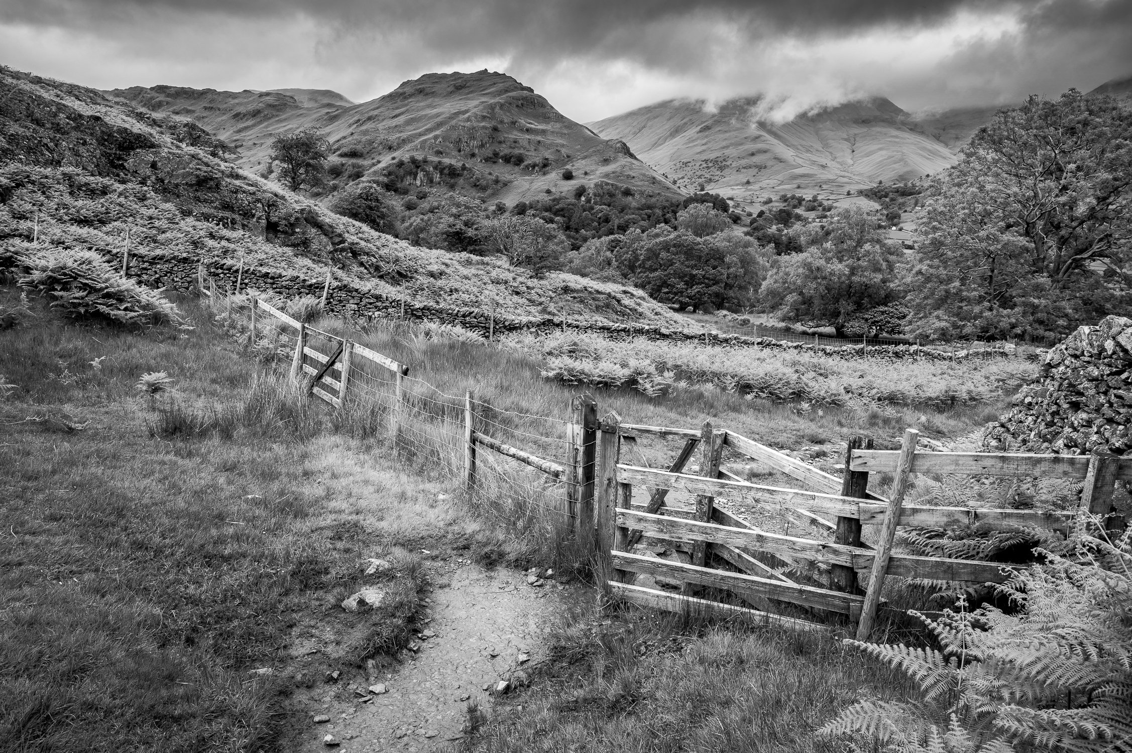 Monochrome View with Gate | Helm Crag