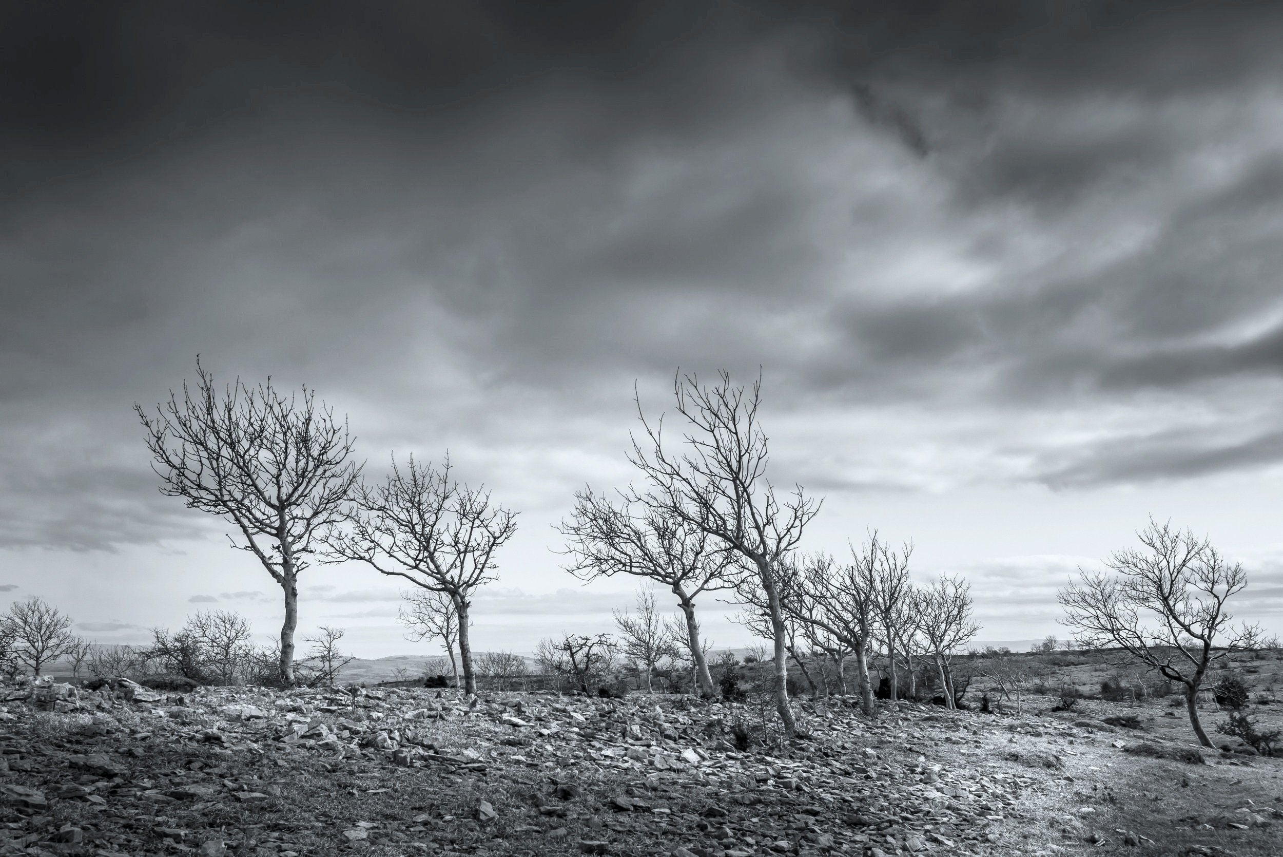 Stormy Morning | Scout Scar
