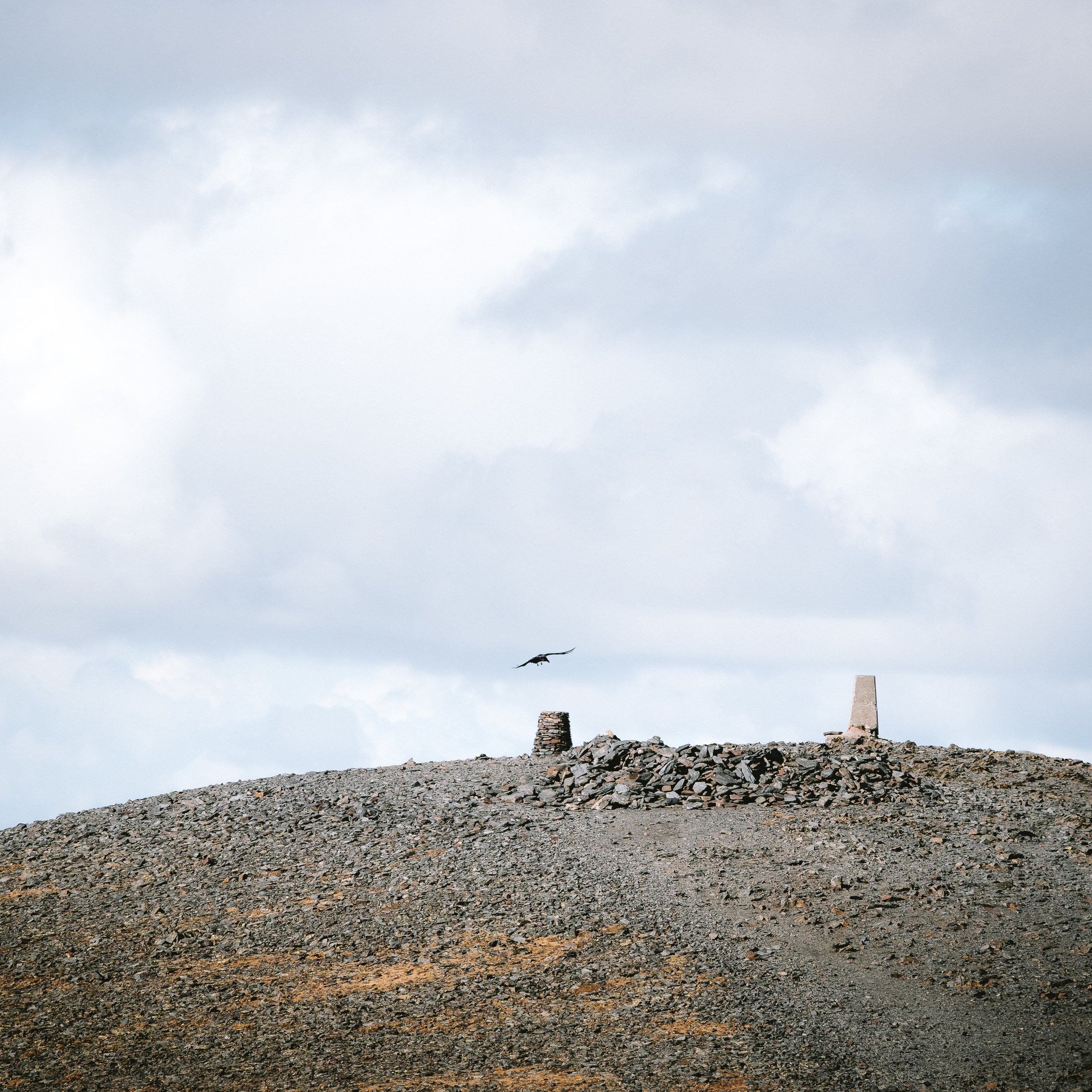 Lonely Summit in Winter | Skiddaw