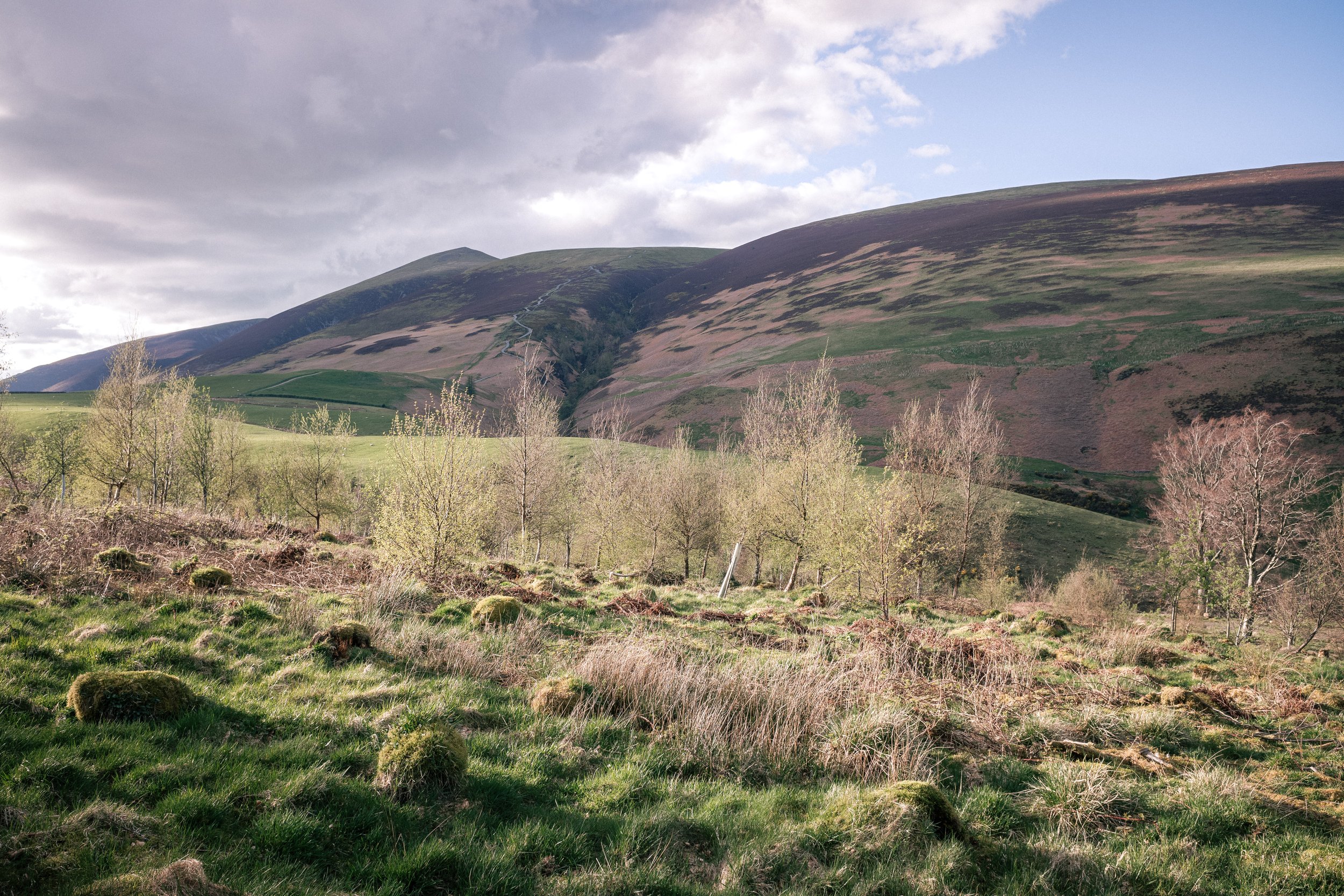 View from Latrigg | Skiddaw Little Man