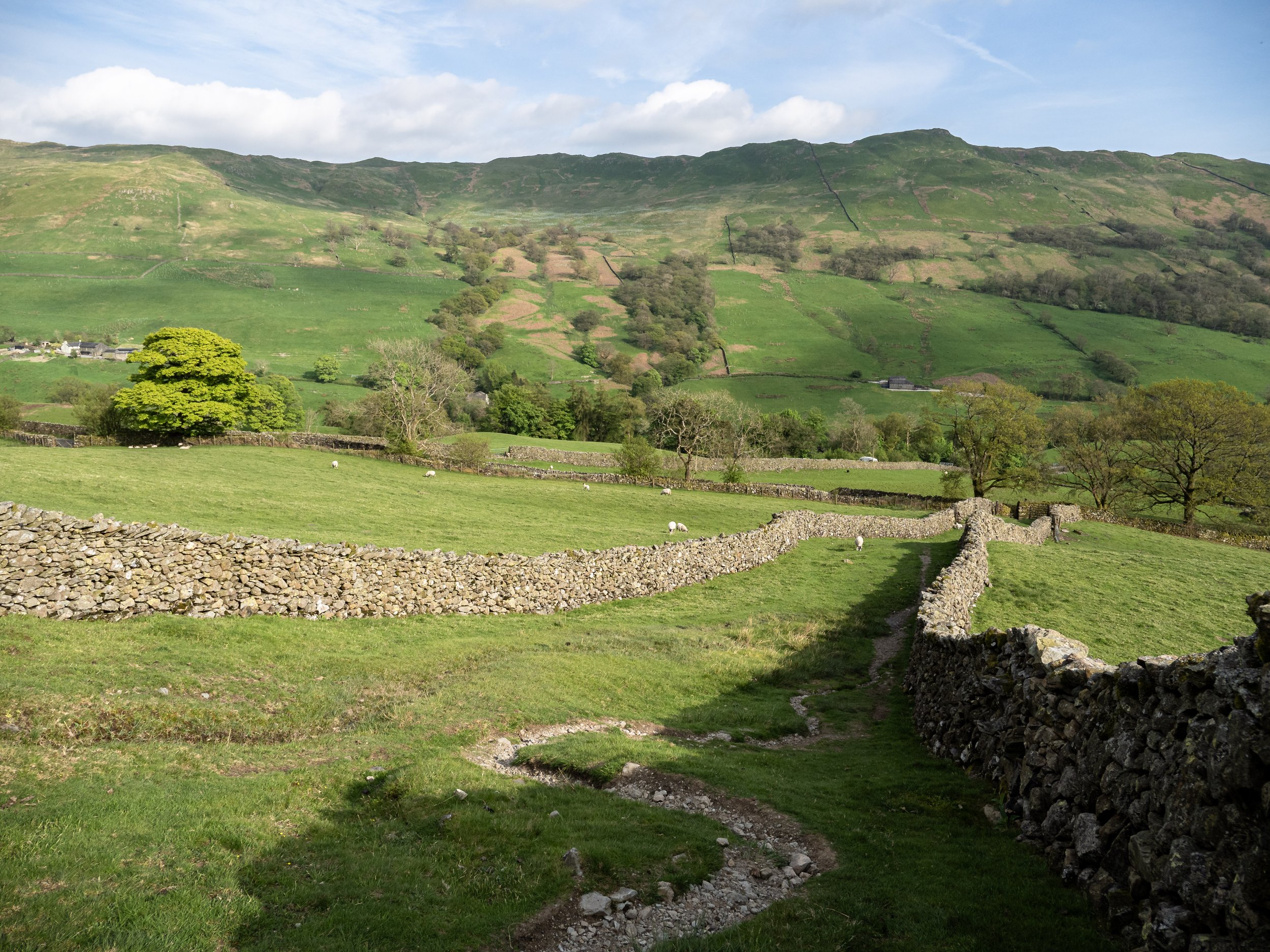 View from Red Screes Lower Slopes | Wansfell
