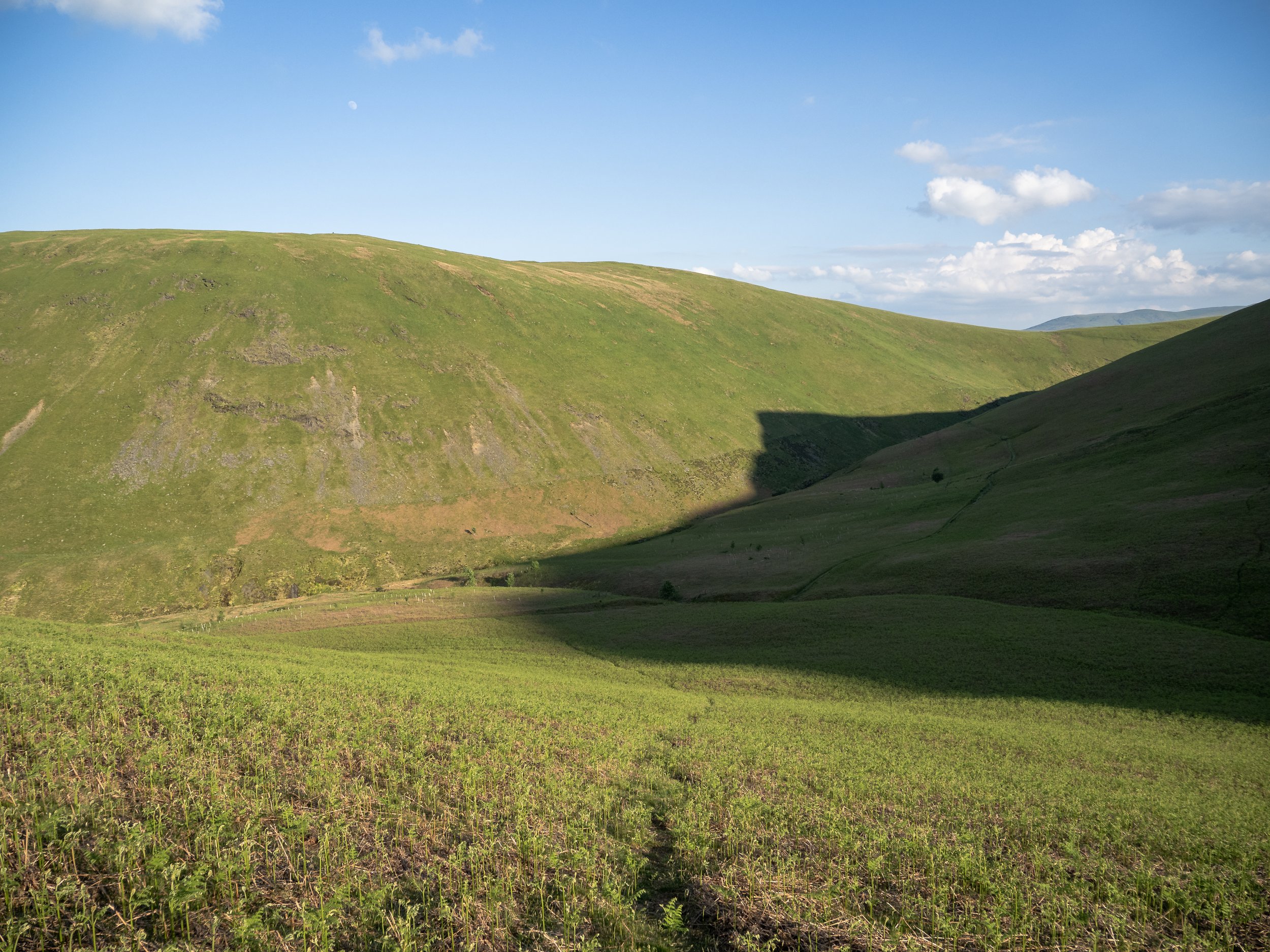 View from Bannerdale Slopes | Souther Fell