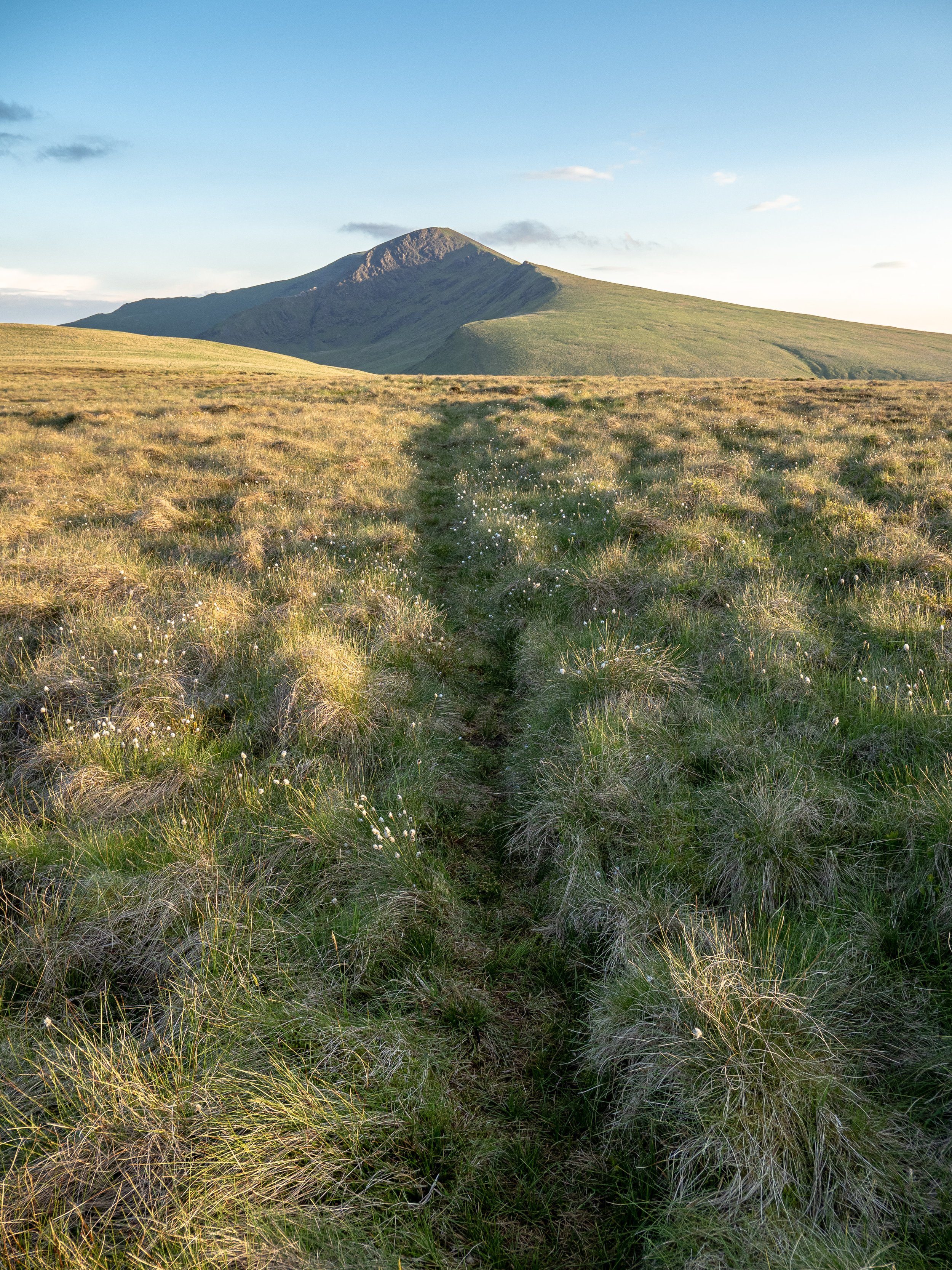 Golden Hour View with Bright Grasses | Blencathra