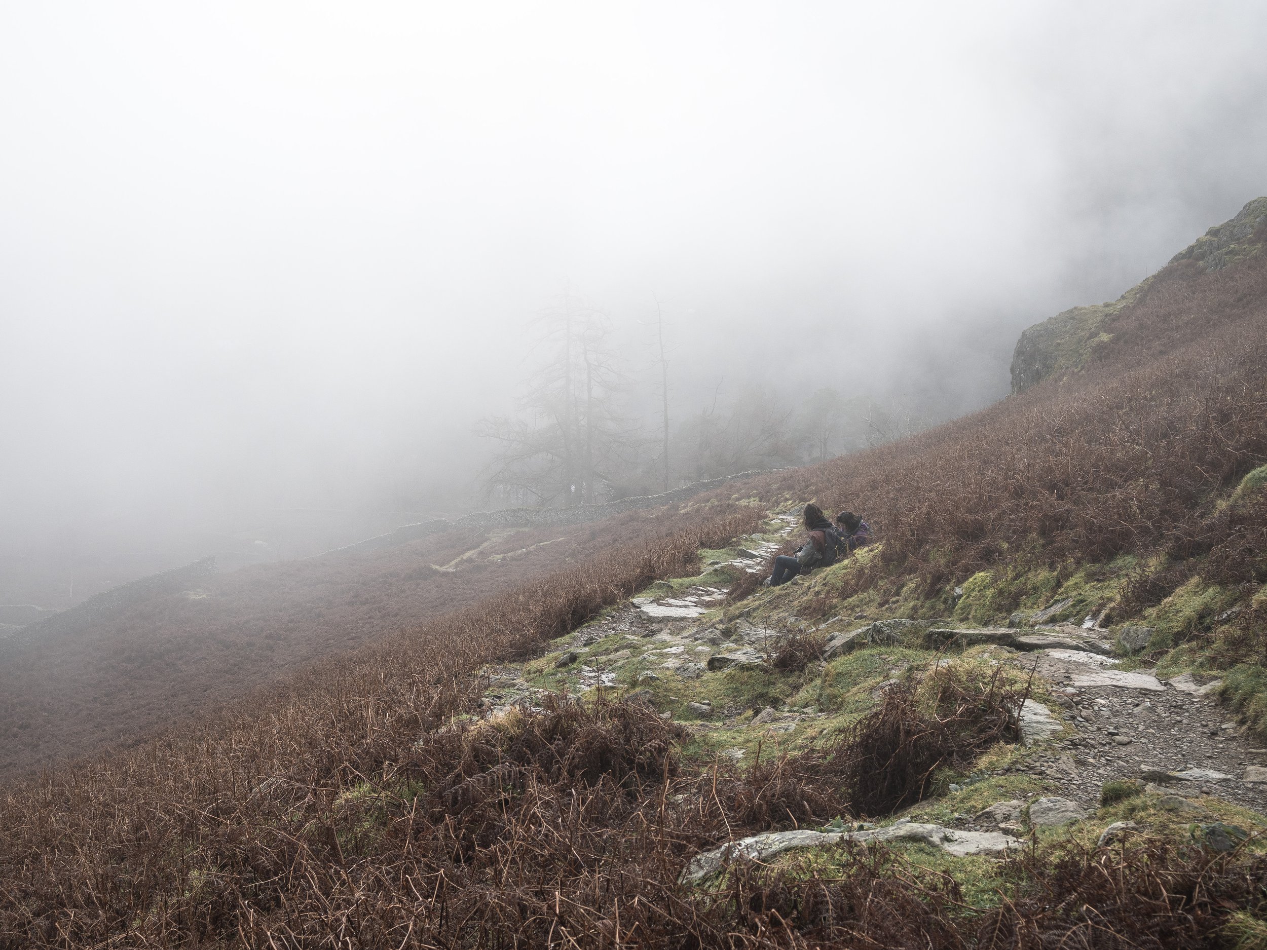 Resting in the Mist | Nab Scar