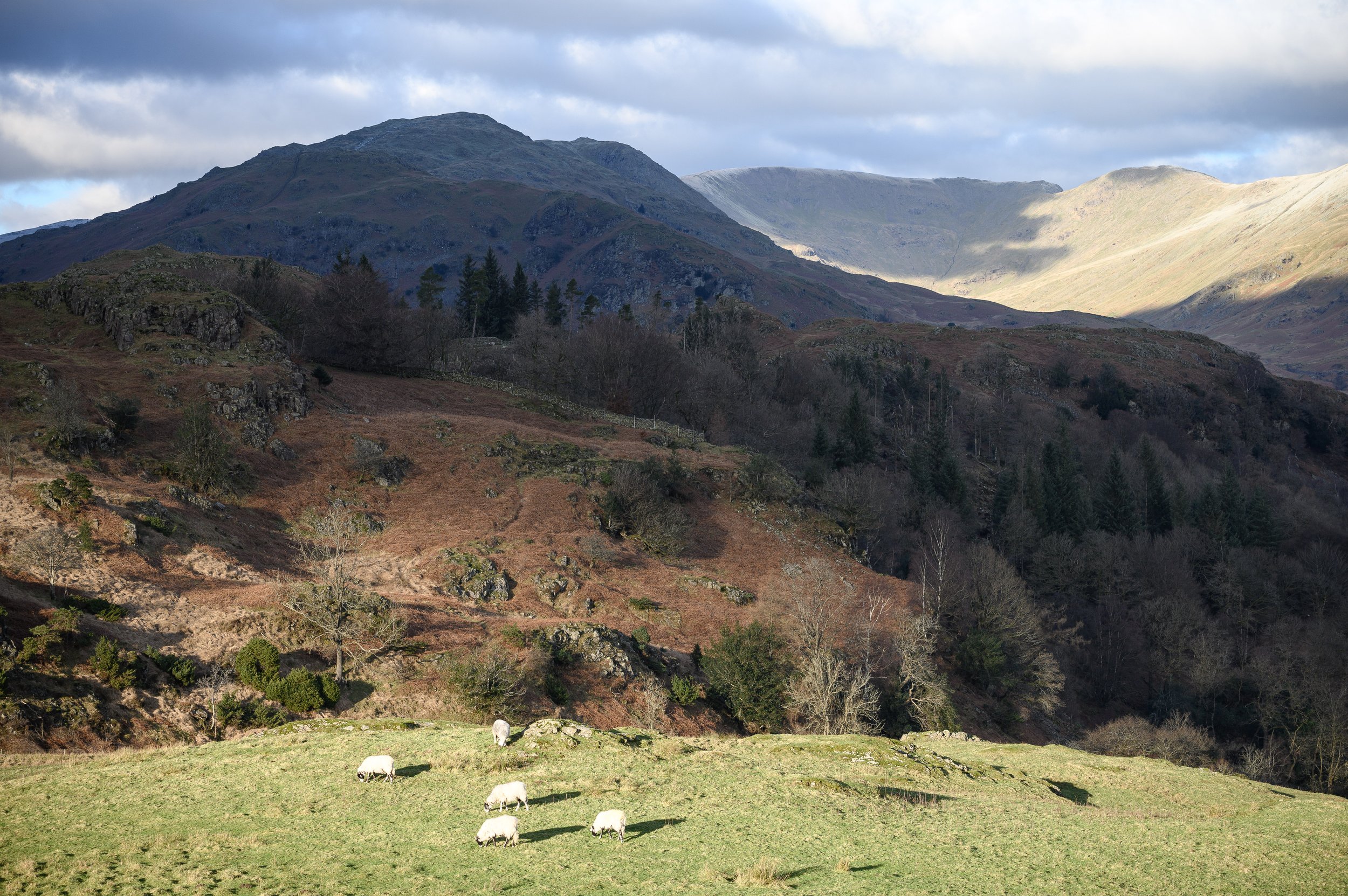 View from Loughrigg | Nab Scar
