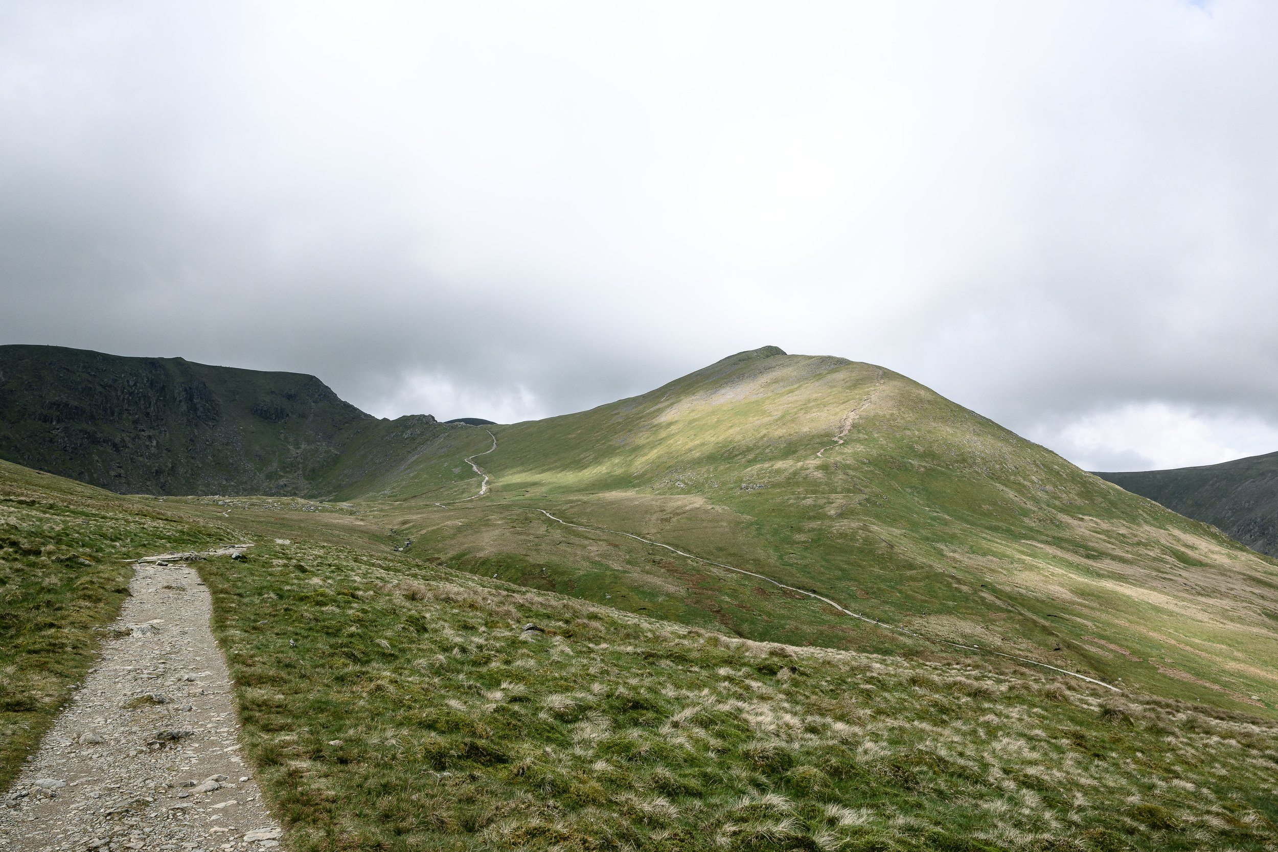 Approach in Spring 2 | Catstycam