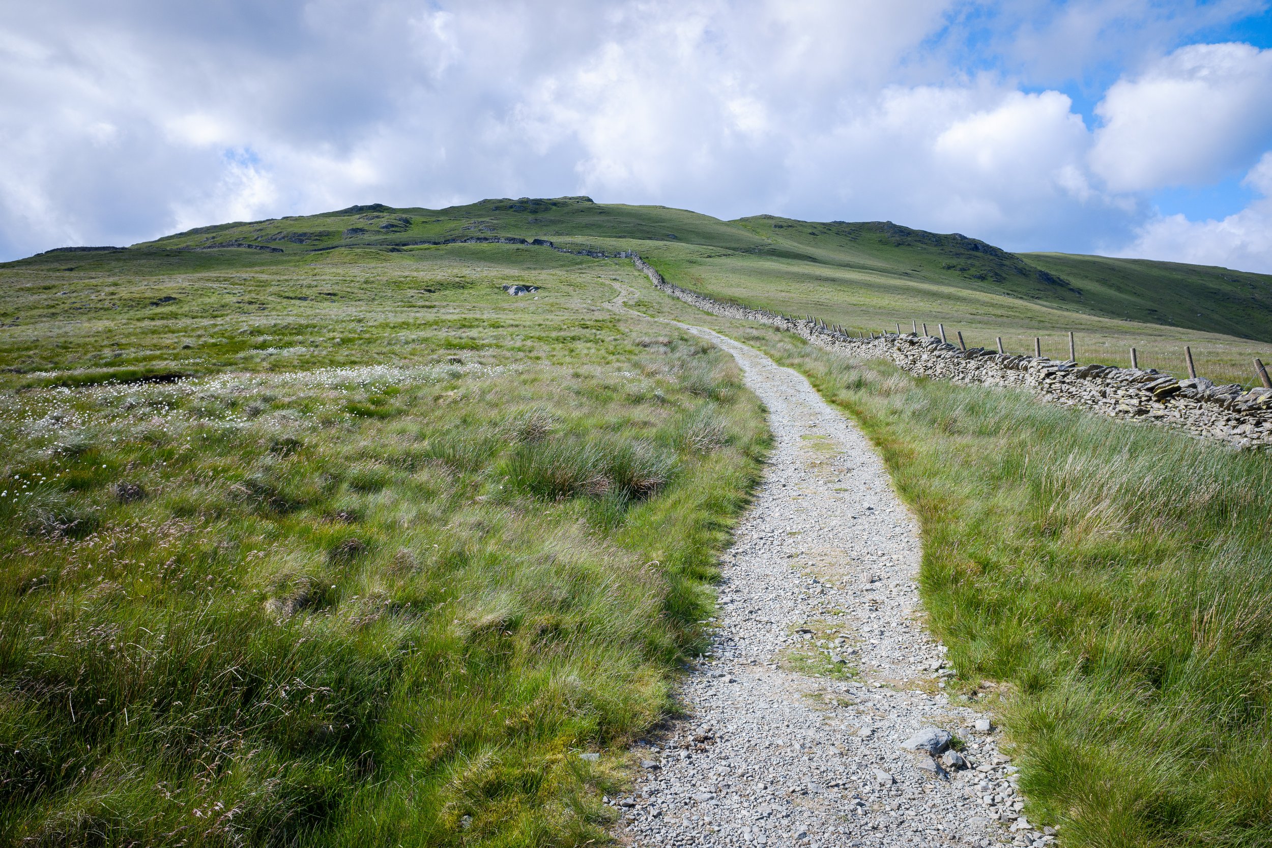 Path up in Summer | Yoke