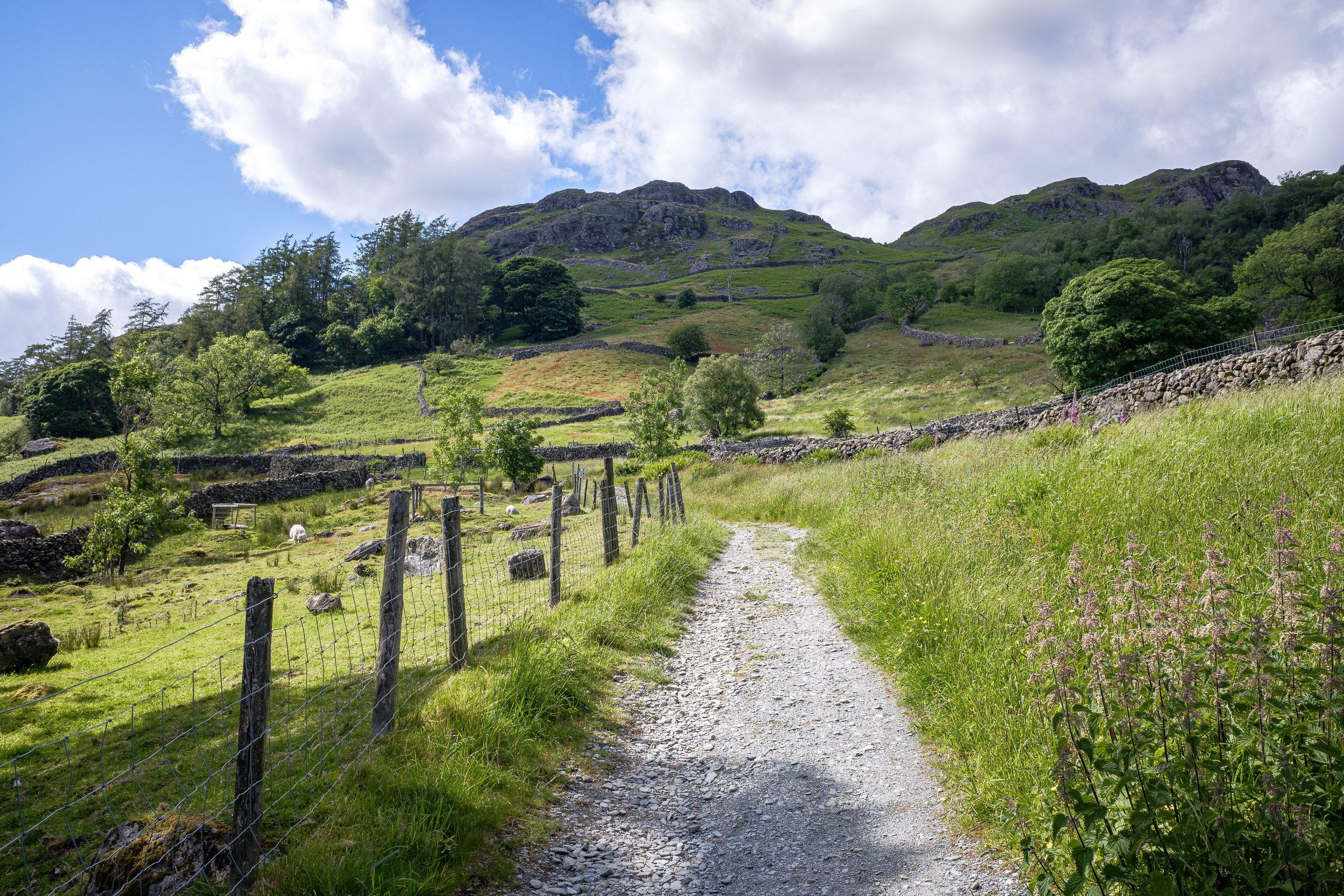 Approach to the Garburn Pass | Yoke
