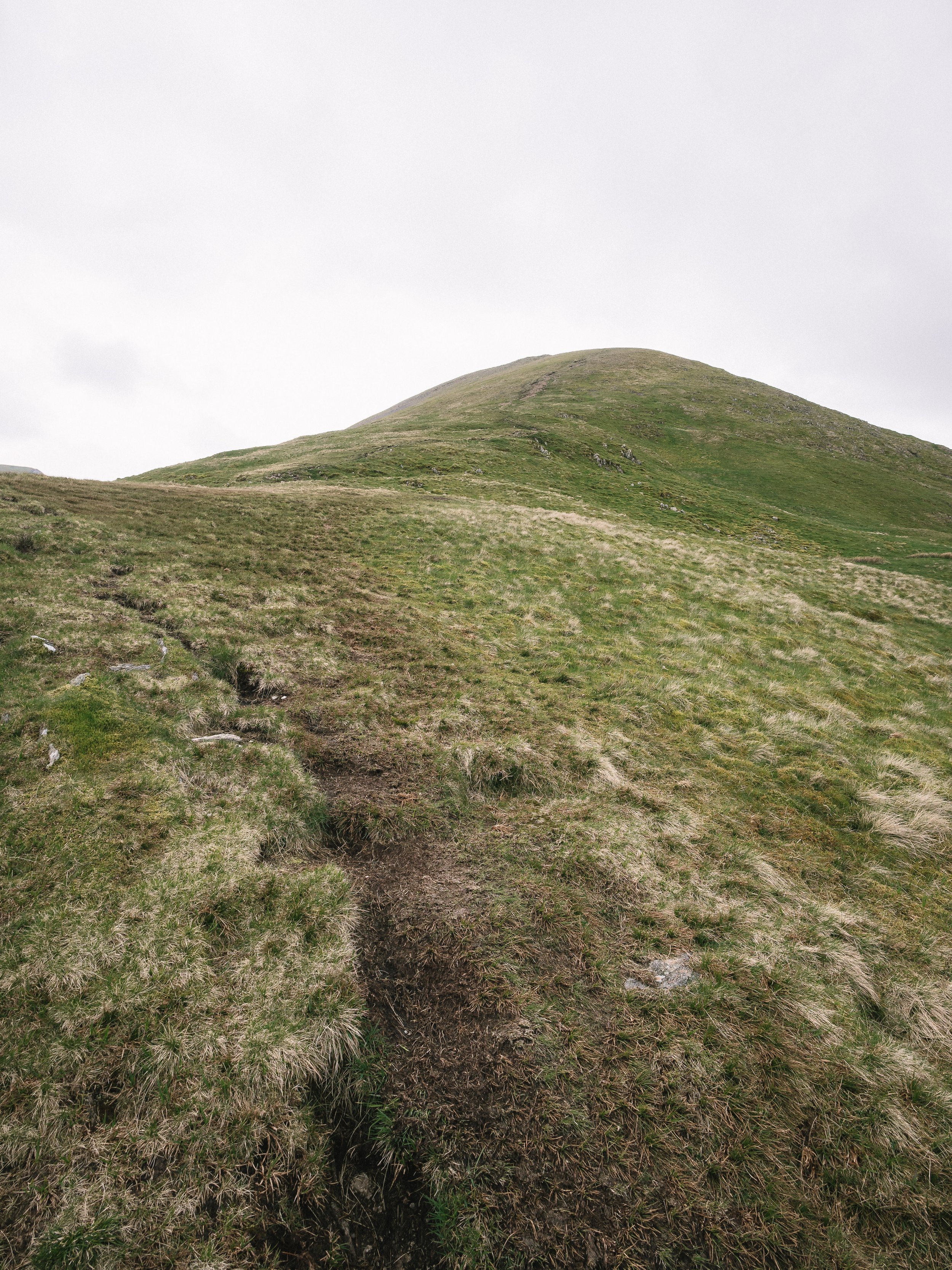 Grassy Mound | Catstycam