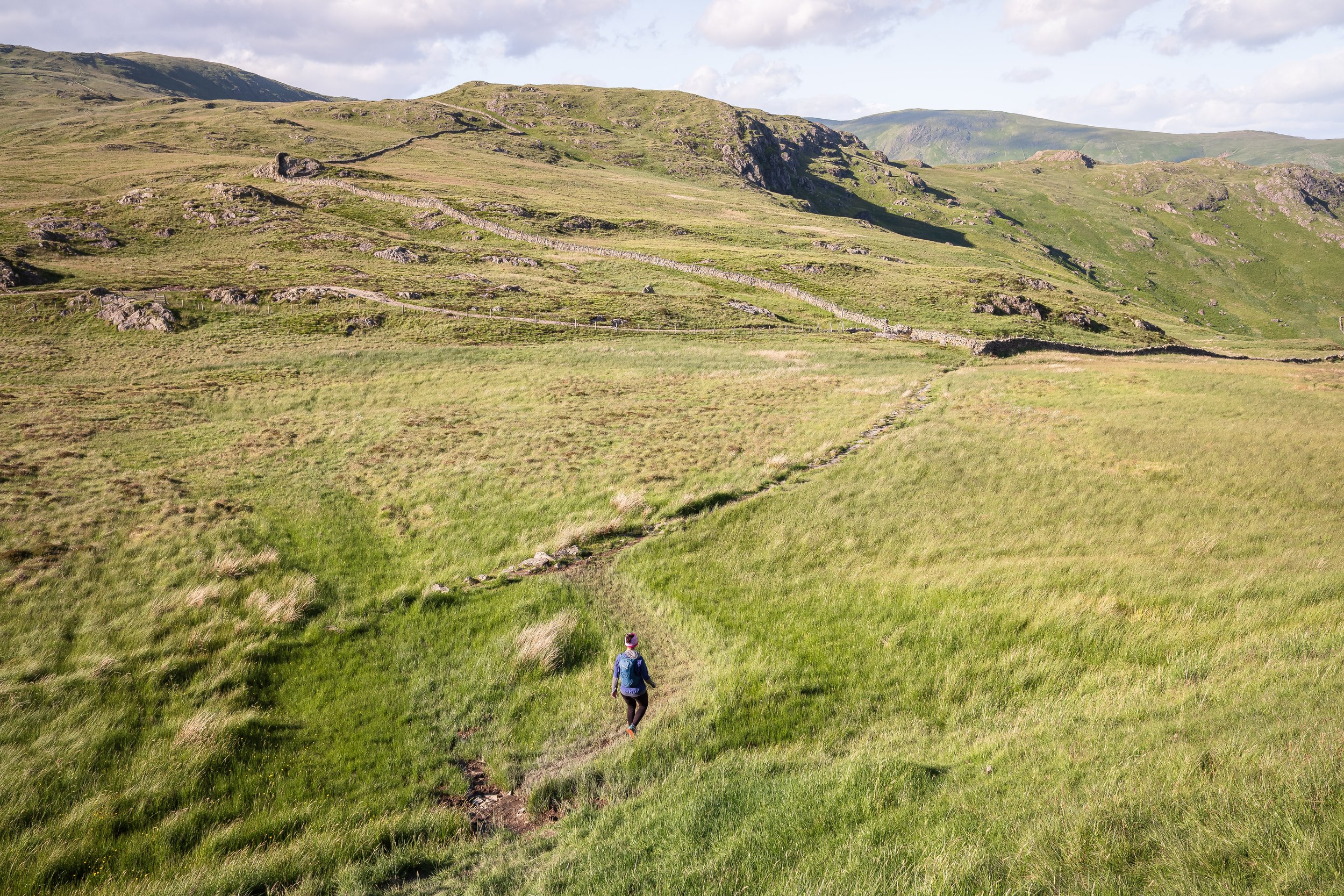 Heading to Yoke | Sallows
